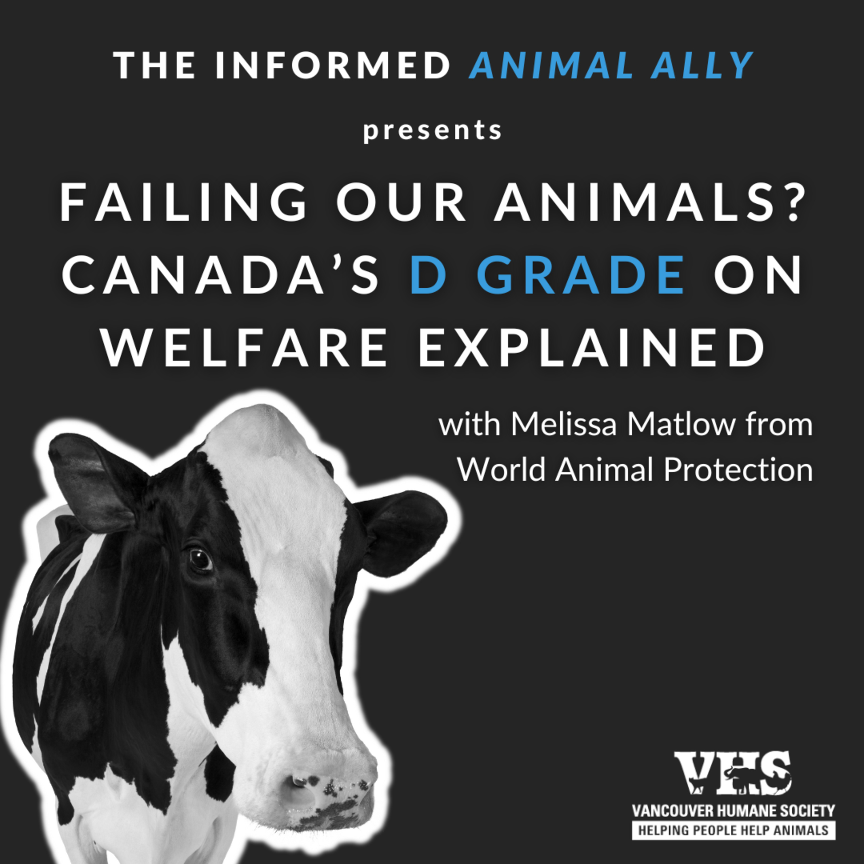Failing our animals? Canada’s D grade on welfare explained episode artwork