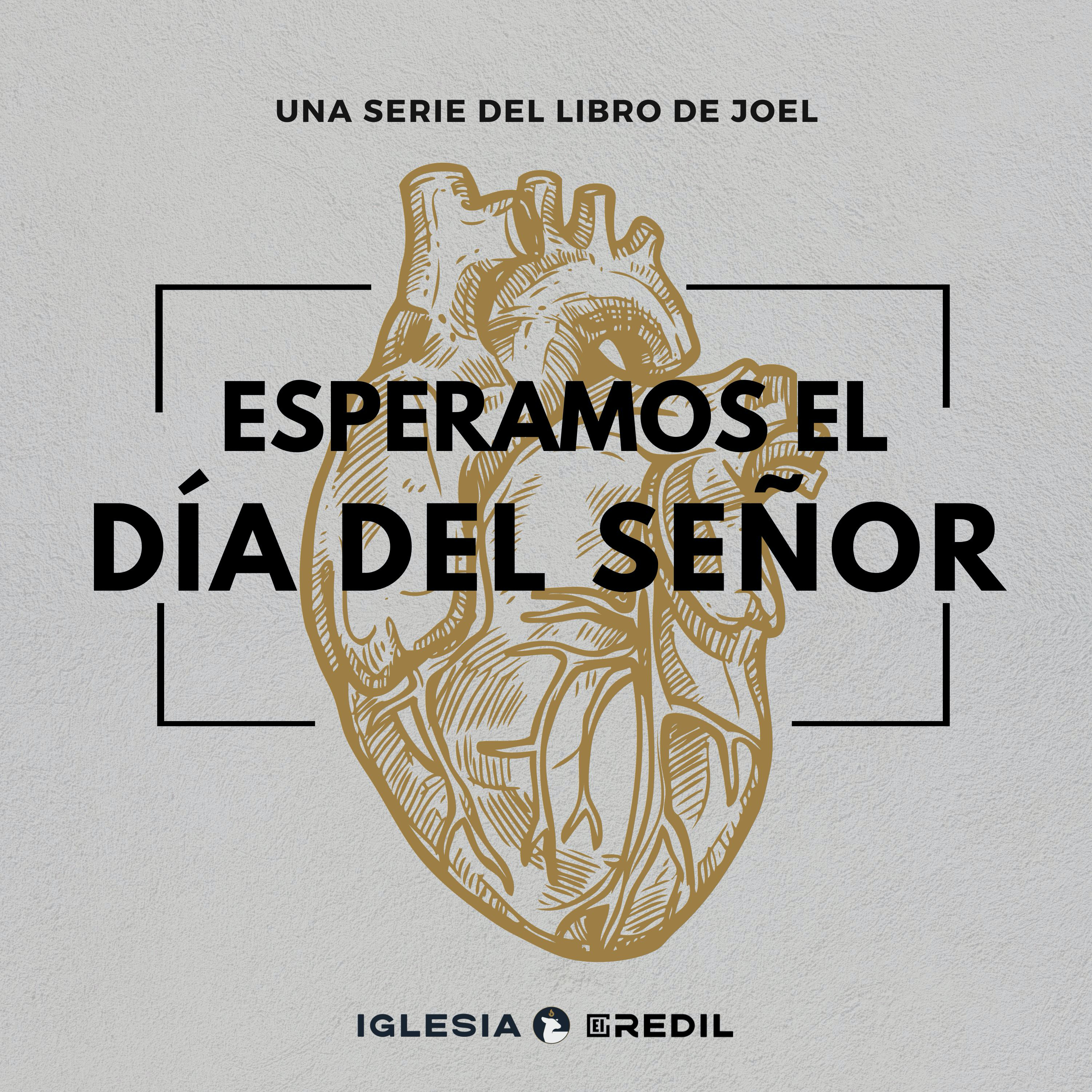 Joel 1:1-15 Esperamos el día del Señor episode artwork