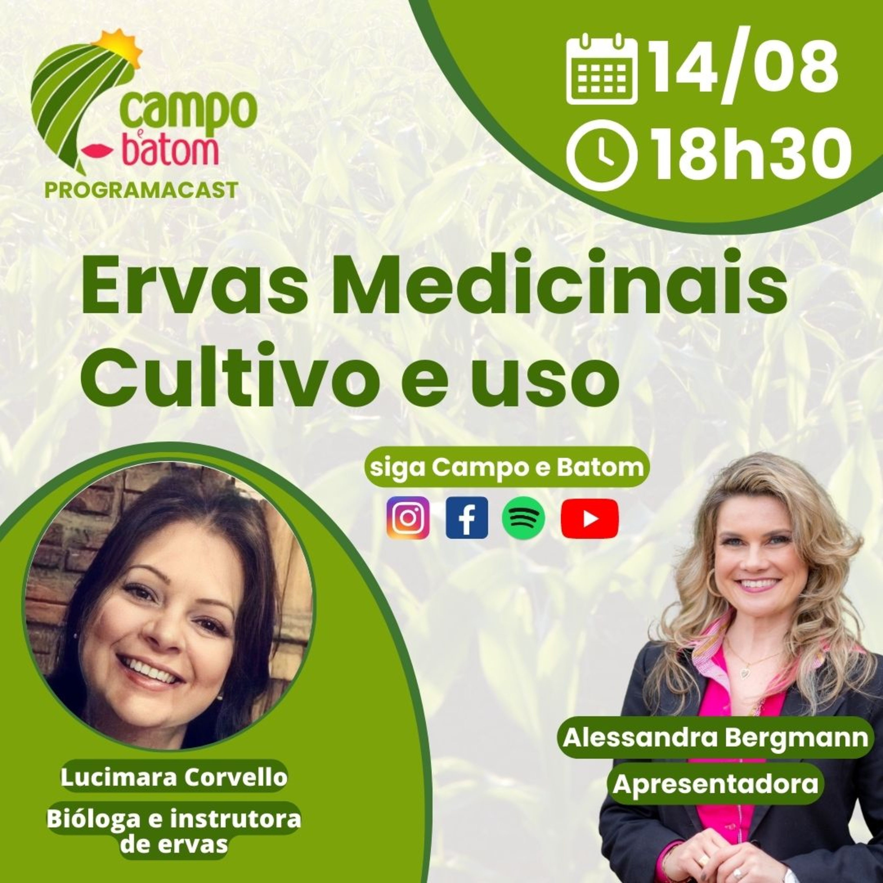 ERVAS MEDICINAIS - USO E CULTIVO - Podcast Campo e Batom episode artwork