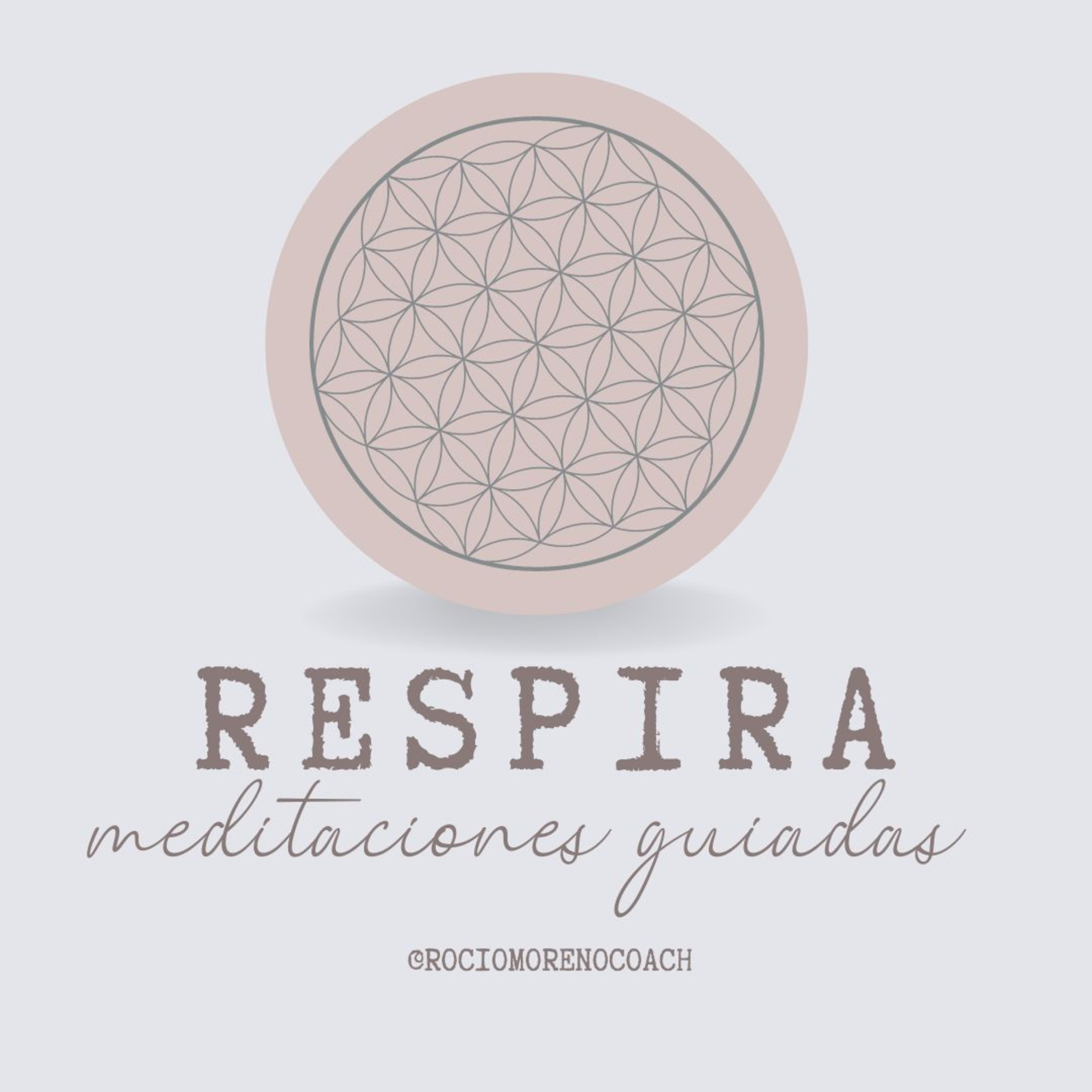 Introvisionarias