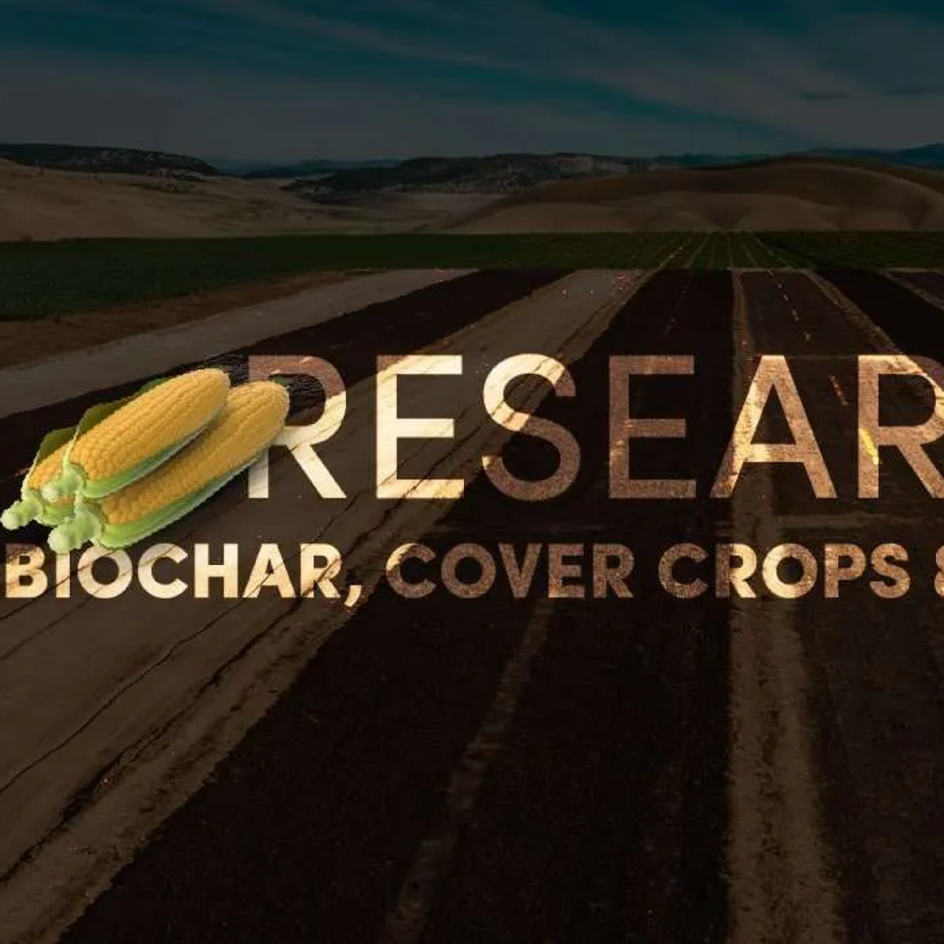 Unearthing Growth Secrets: Biochar and Cover Crops May Boost Yield in Sweet Corn Study episode artwork