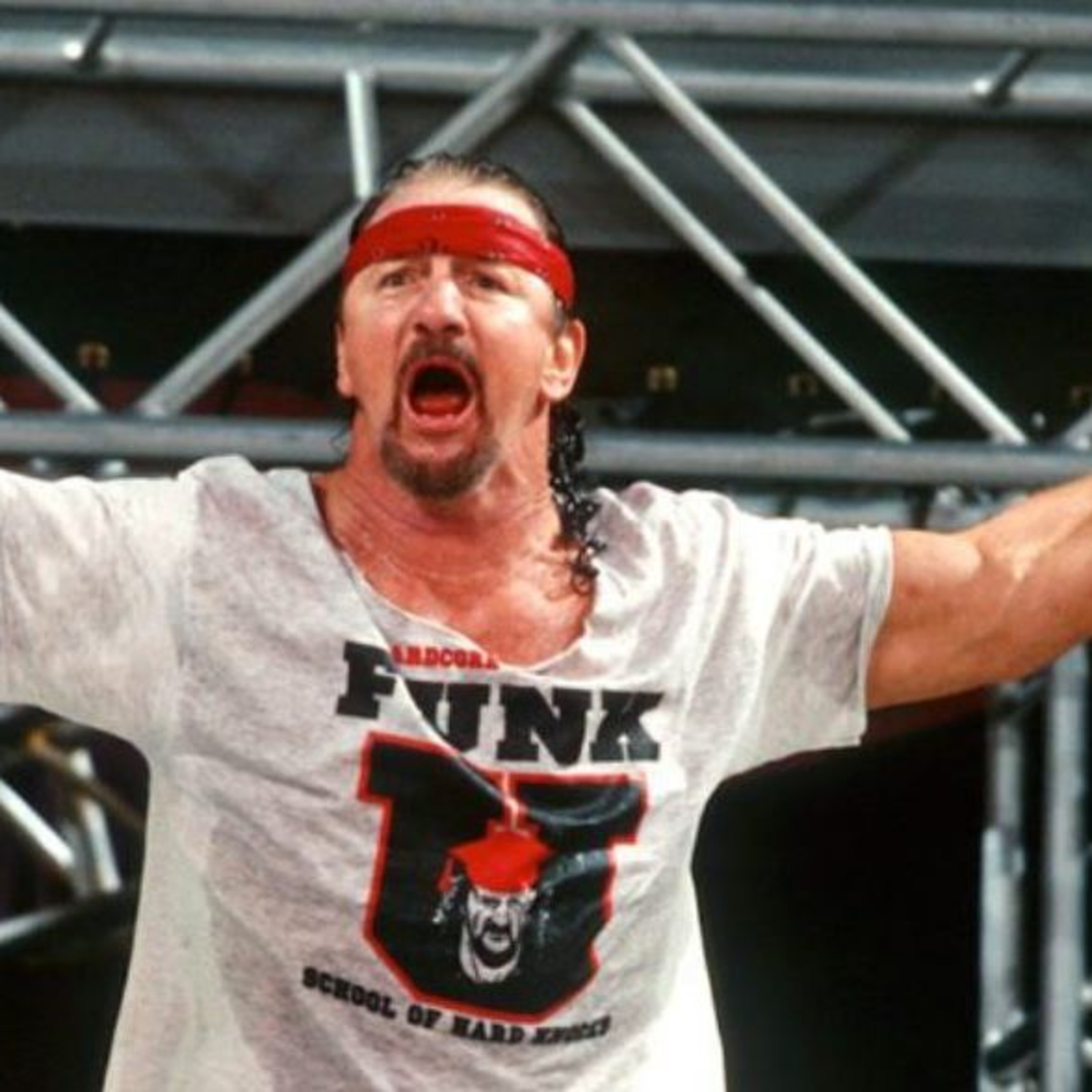 Sports and Songs Bonus Episode Terry Funk June 30, 1944 to Aug 23, 2023 RIP to a legend episode artwork