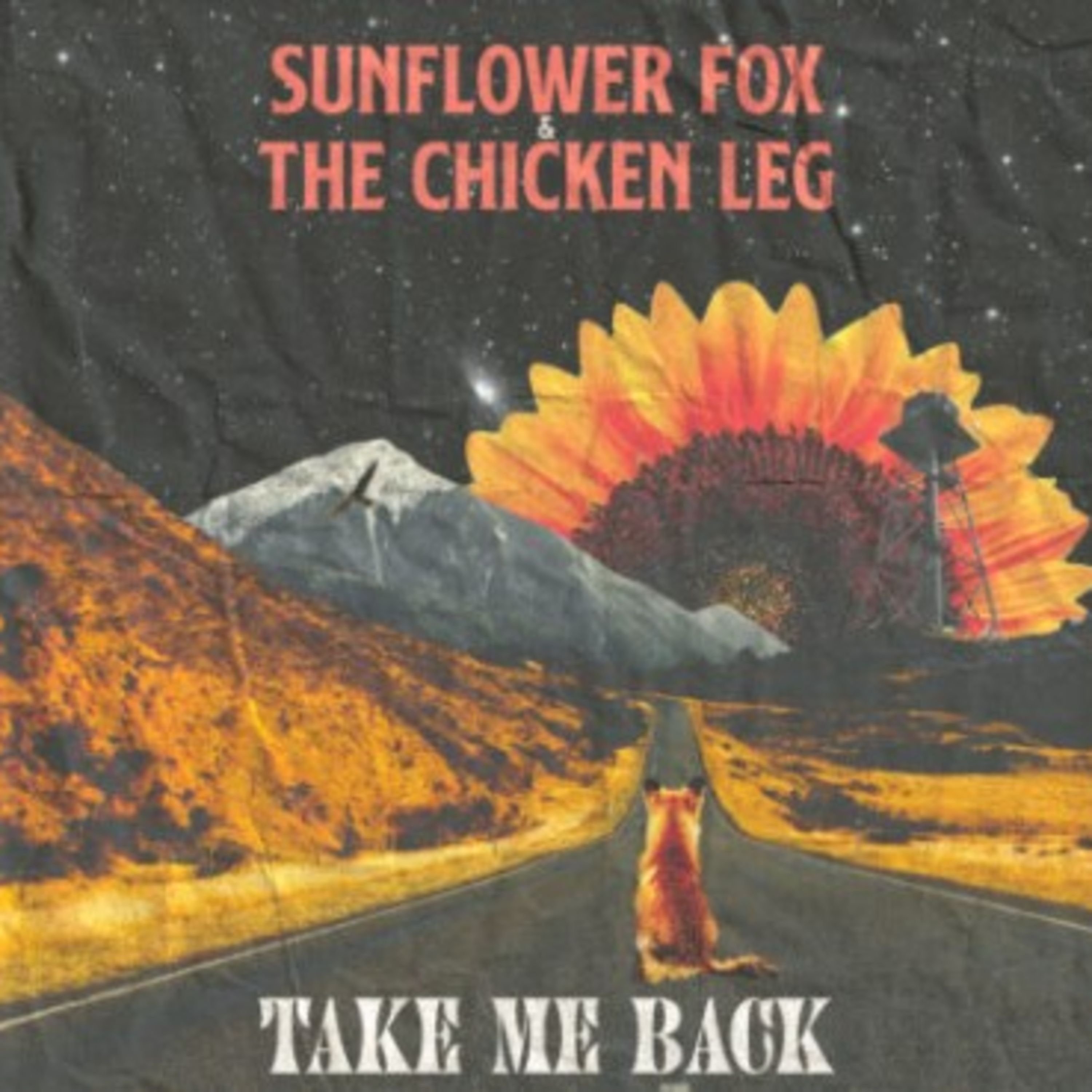 Sports and Songs Podcast - Season 4 - Episode 43 - Songs Edition - Interview with the band: "Sunflower Fox and the Chicken Leg" episode artwork