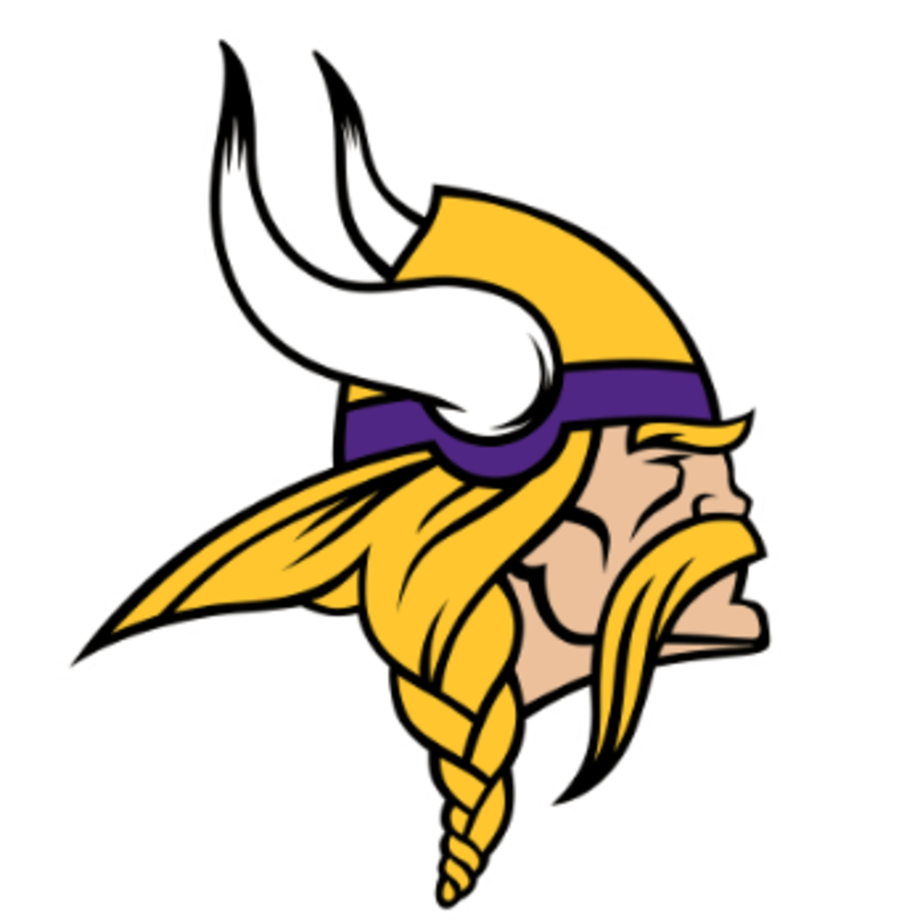 Sports and Songs Podcast - BONUS Episode - 2024 Minnesota Vikings Preview Show! episode artwork