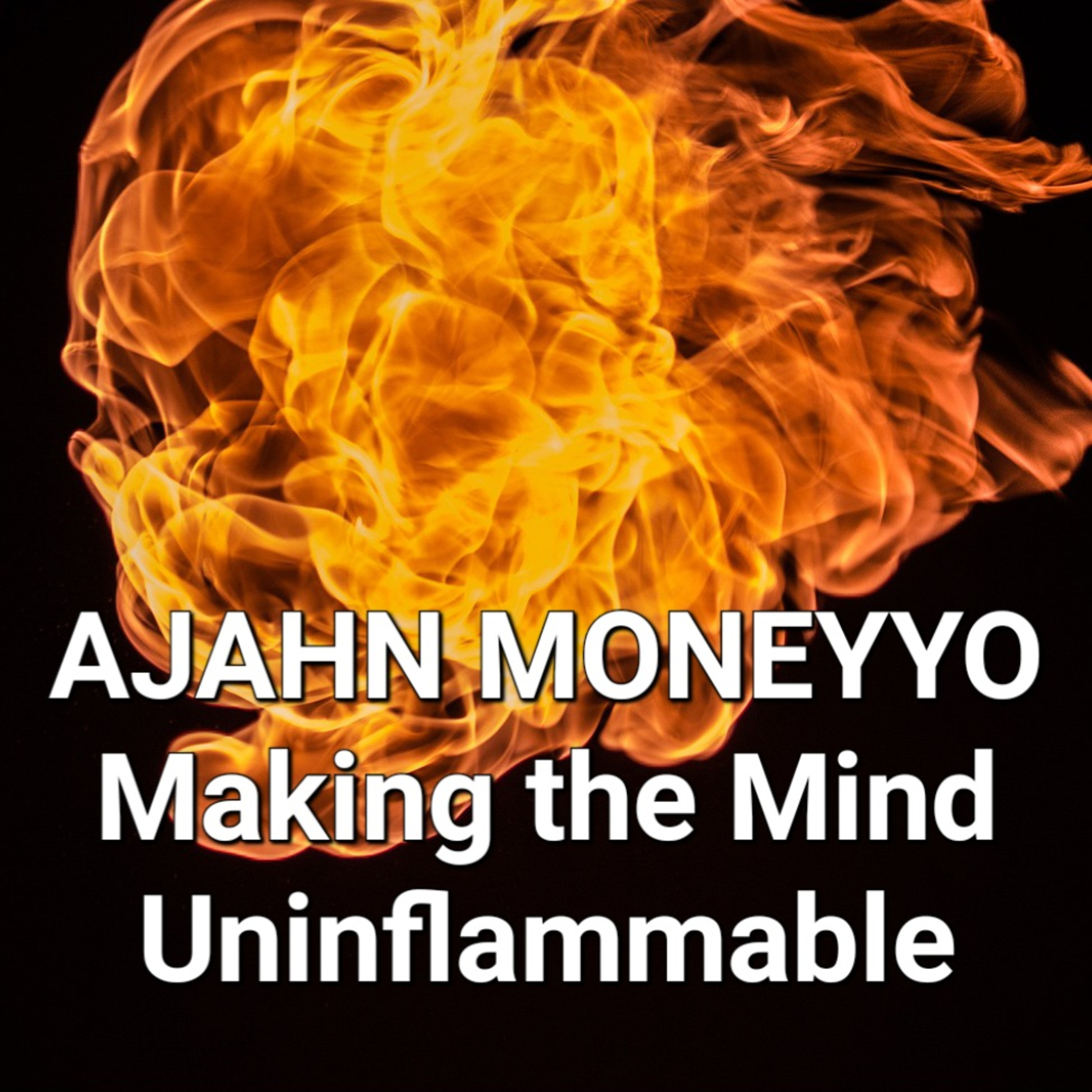 AJAHN MONEYYO | How to Make the Mind Uninflammable | Dhammagiri | Fire Sermon