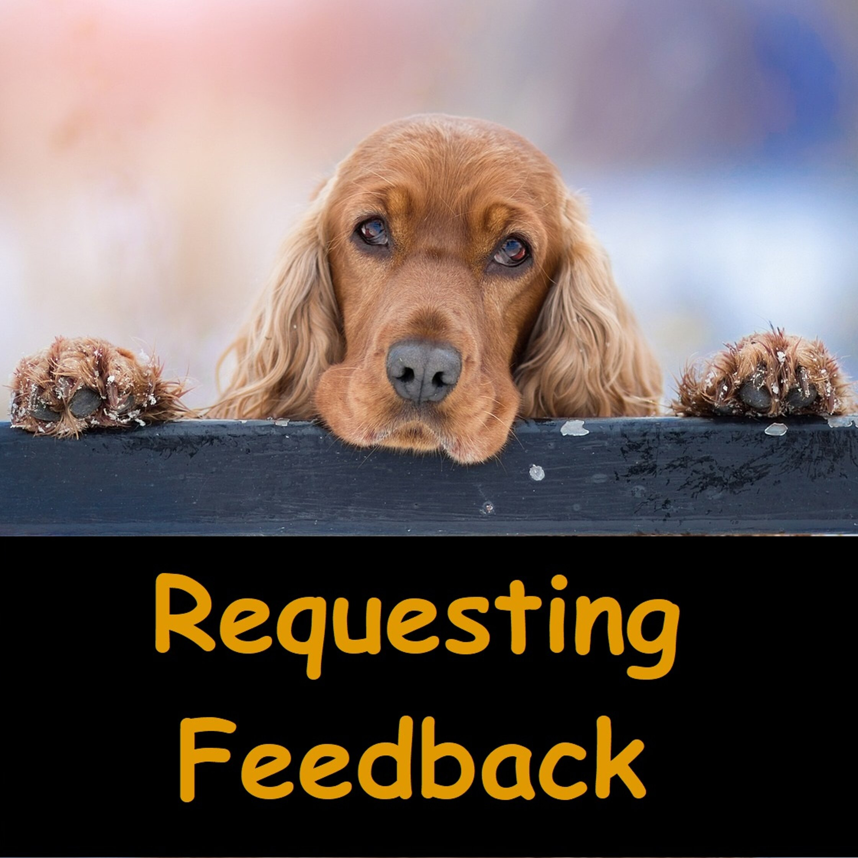 Asking for Feeback | Pavarana | Buddhism | Ajahn Dhammasiha | Dhamma