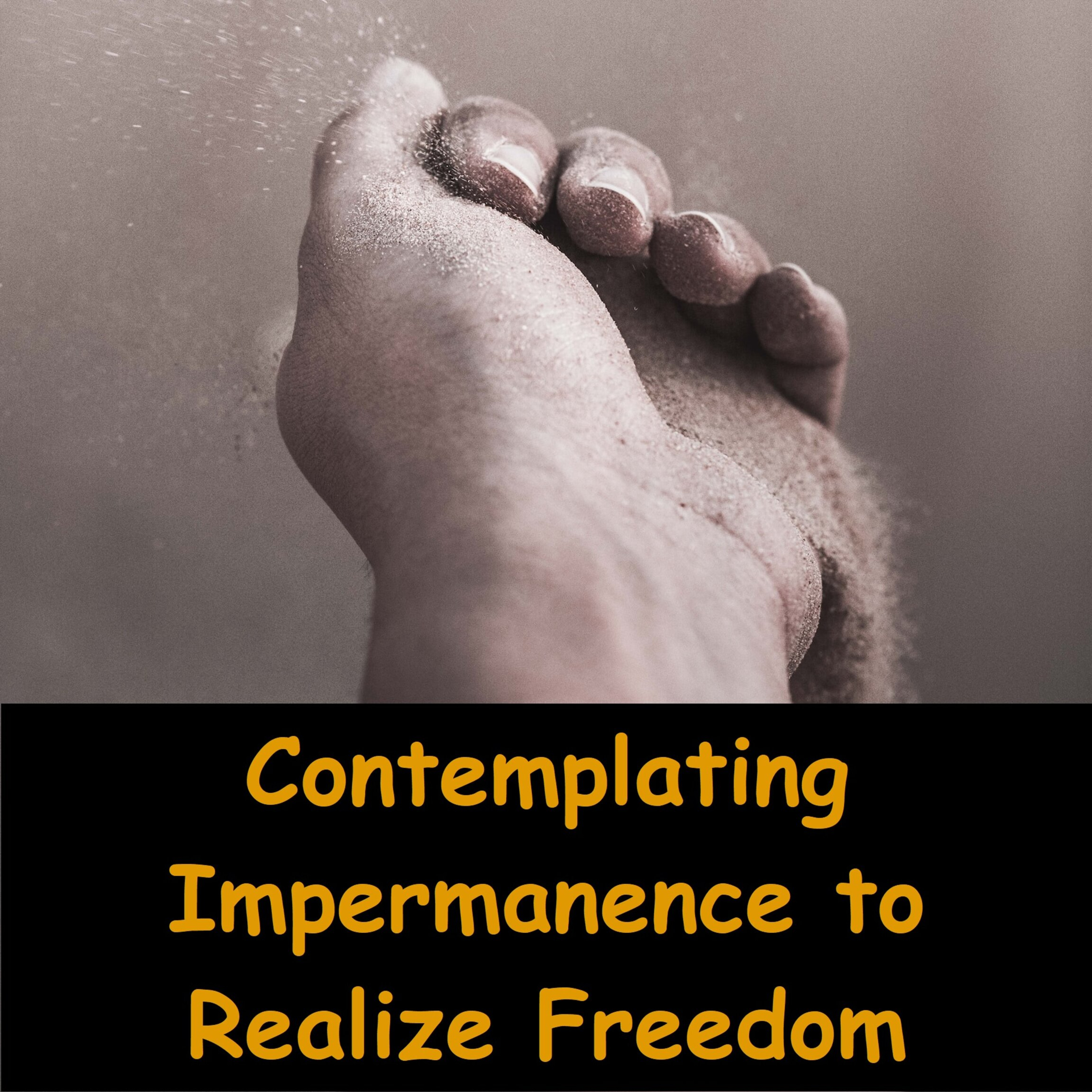 Contemplating Impermanence to Realize Freedom | Ajahn Dhammasiha | Buddhist Dhamma Talk