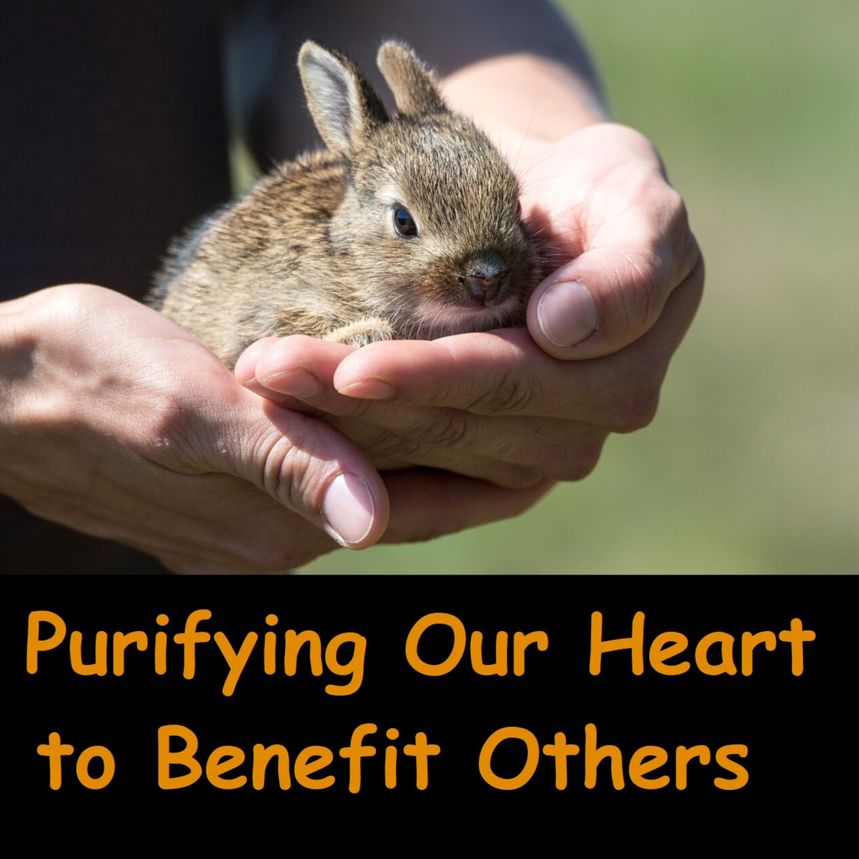 Purifying Our Heart to Benefit Others | Ajahn Dhammasiha | Buddhist Dhamma Talk
