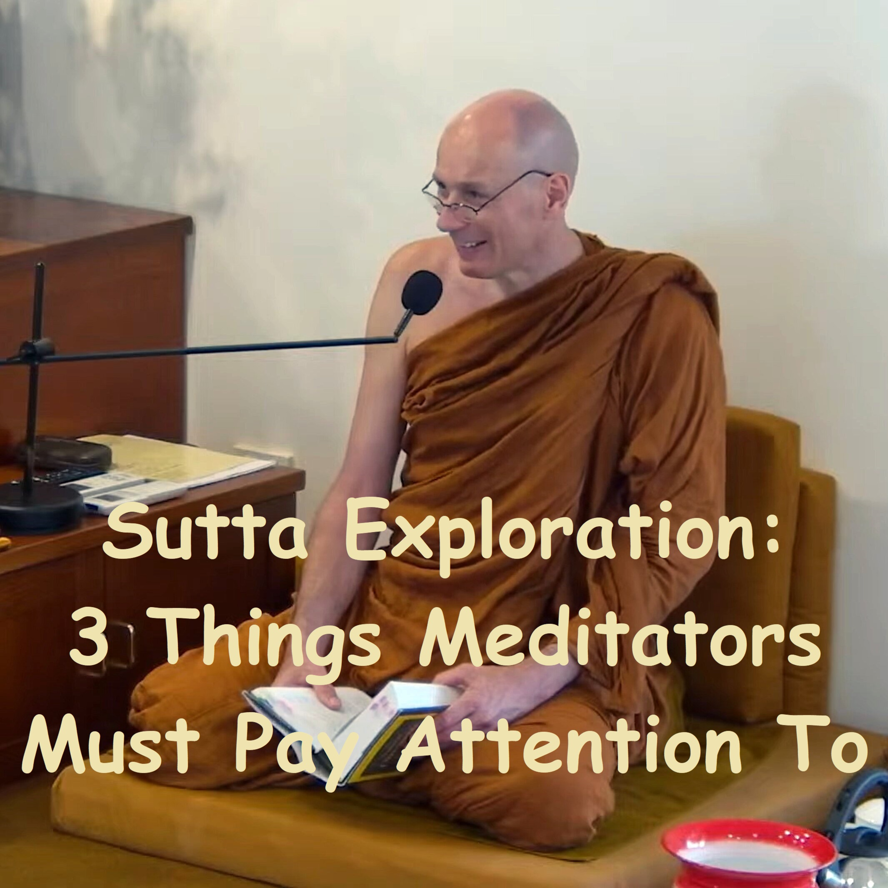 3 Things Meditators Must Pay Attention To | Ajahn Dhammasiha | SUTTA EXPLORATION AN 3s #103