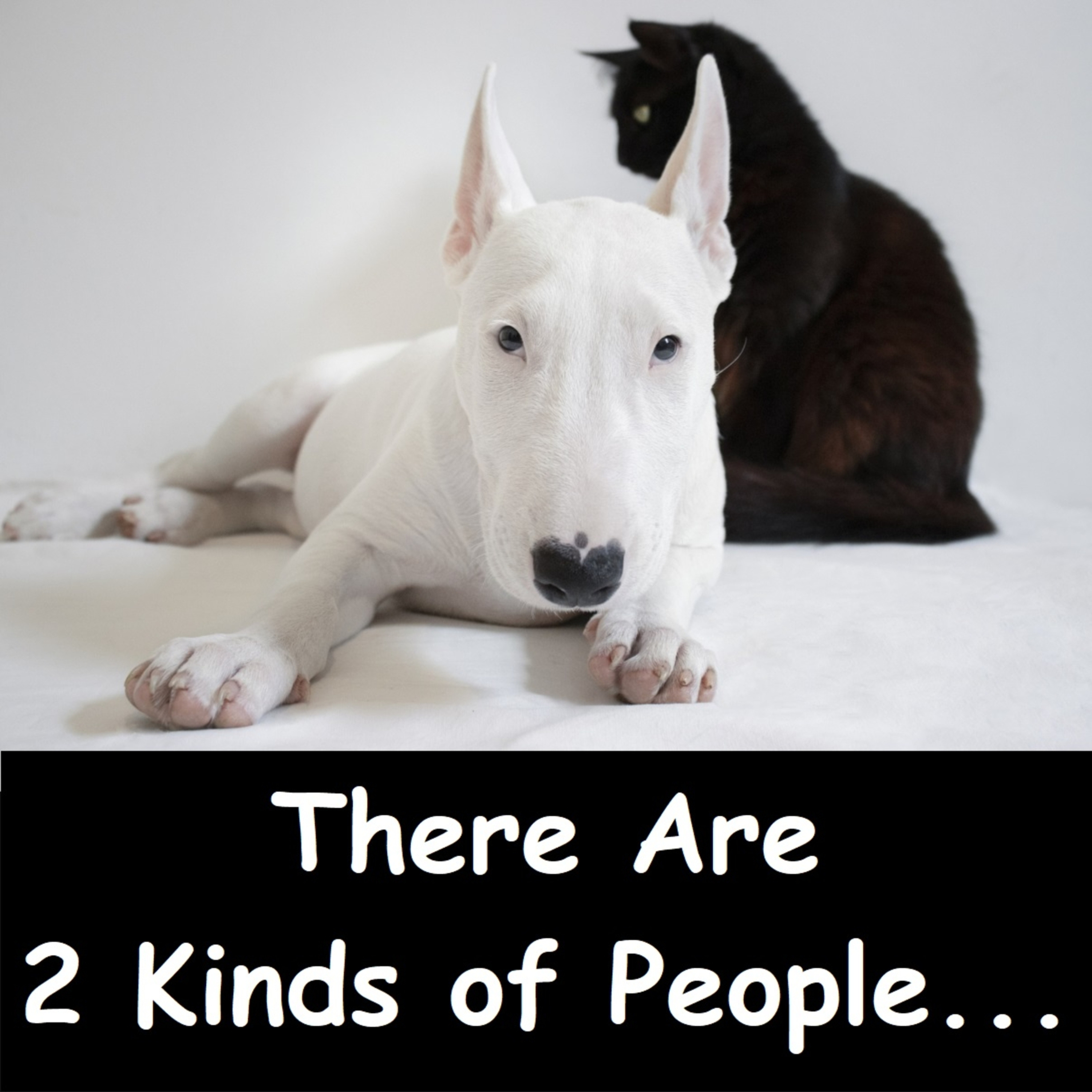 Two Kinds of People... | Buddhist Dhamma Talk | Ajahn Dhammasiha