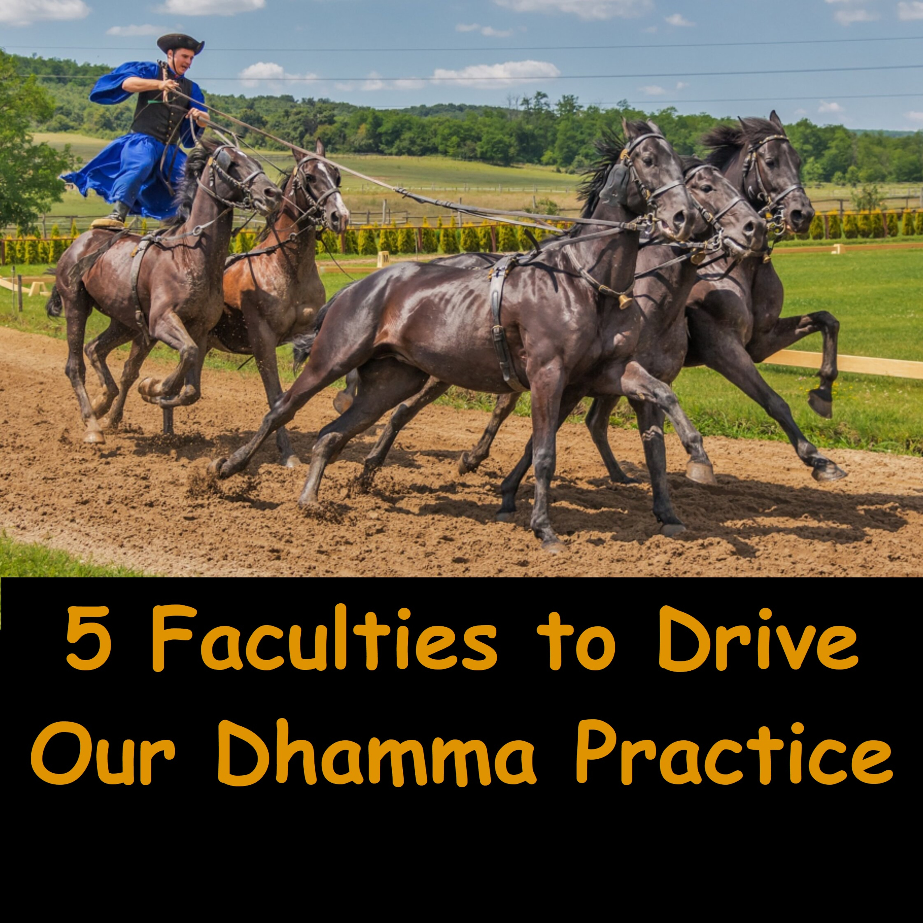 5 Faculties: Faith, Energy, Mindfulness, Samādhi, Wisdom | Ajahn Dhammasiha