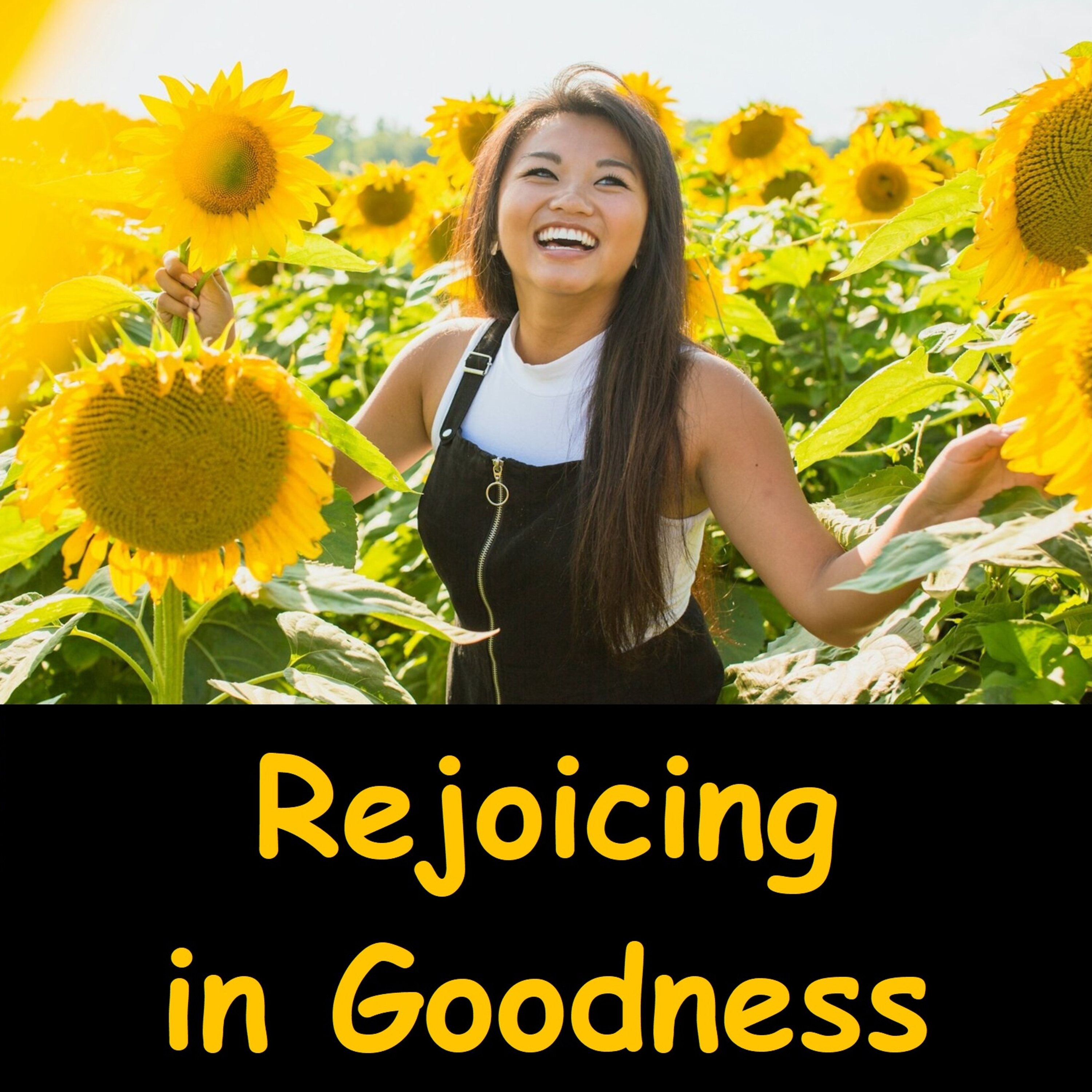 Joy & Rejoicing in Goodness | Muditā | Ajahn Dhammasiha | Buddha Dhamma