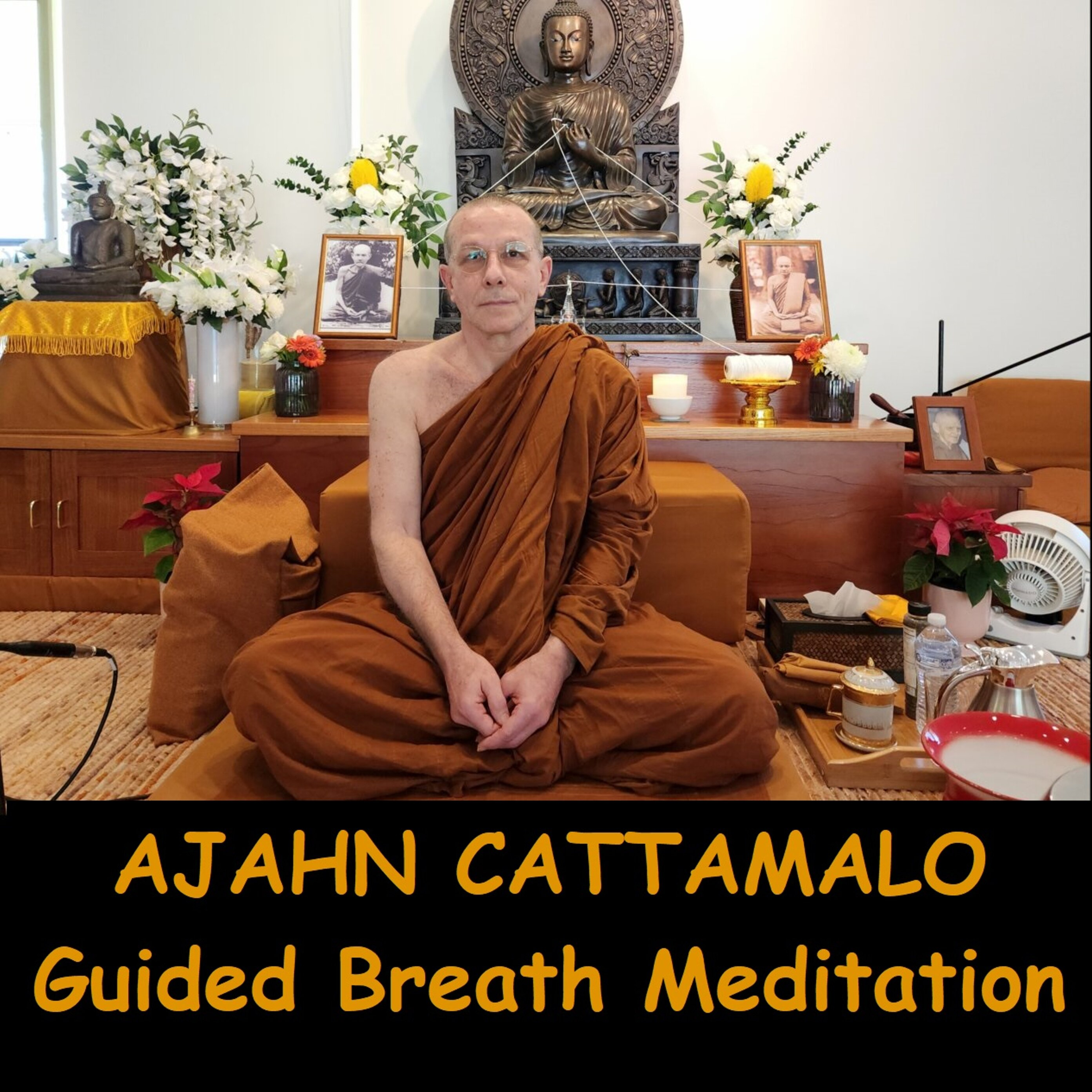 AJAHN CATTAMALO | GUIDED BREATH MEDITATION | Anapanasati | Mindfulness of the Breath | Dhammagiri