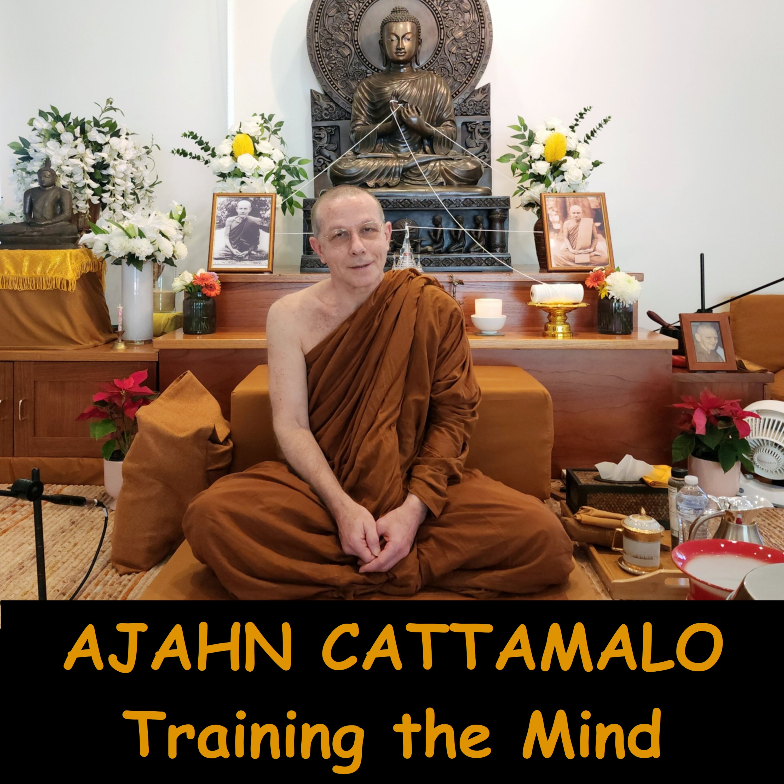 AJAHN CATTAMALO | Training the Mind to Know Body & Mind | Buddhist Dhamma Talk at Dhammagiri