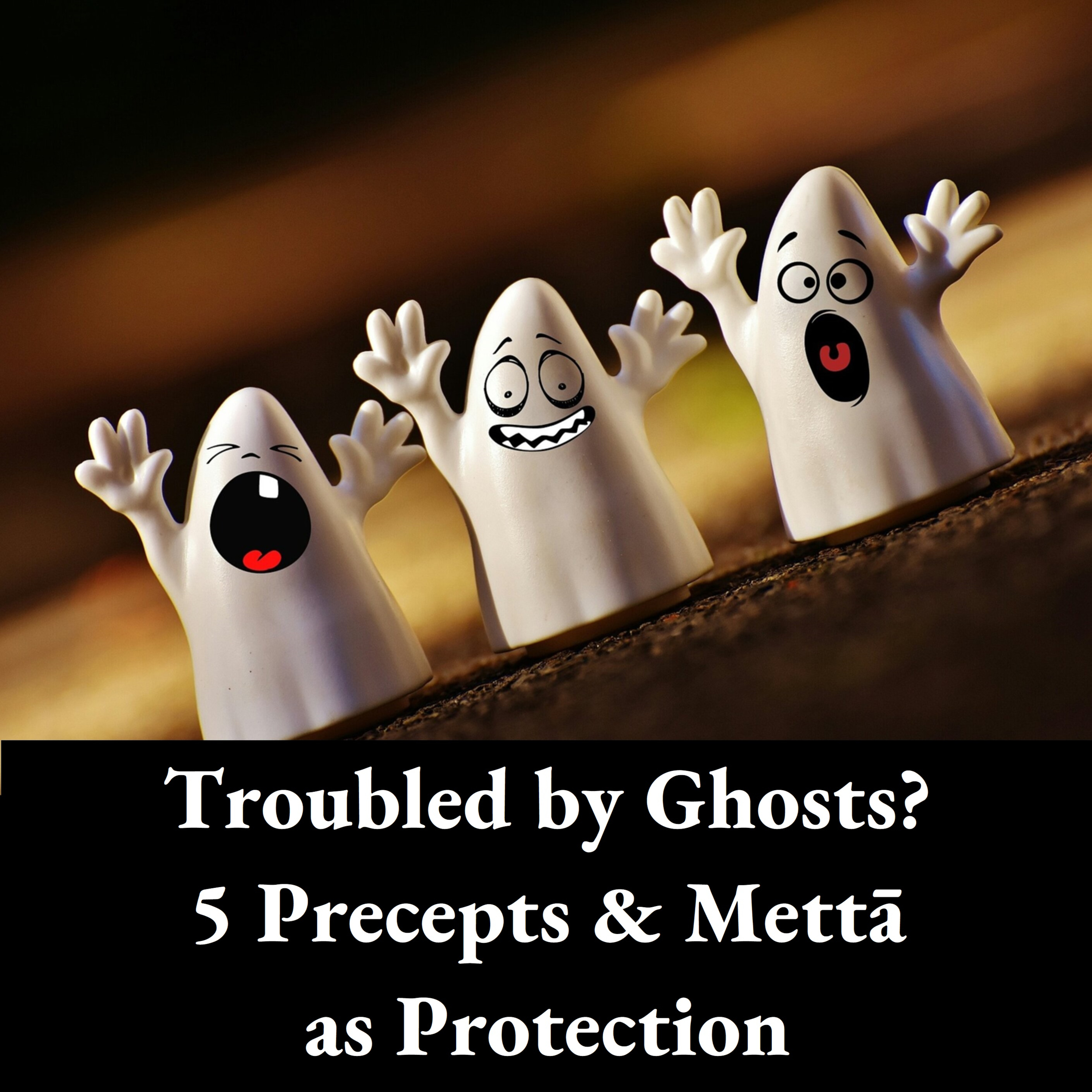 Problems with Ghosts? | 5 Precepts & Metta Loving Kindness to Ward Off Spirits | Ajahn Dhammasiha