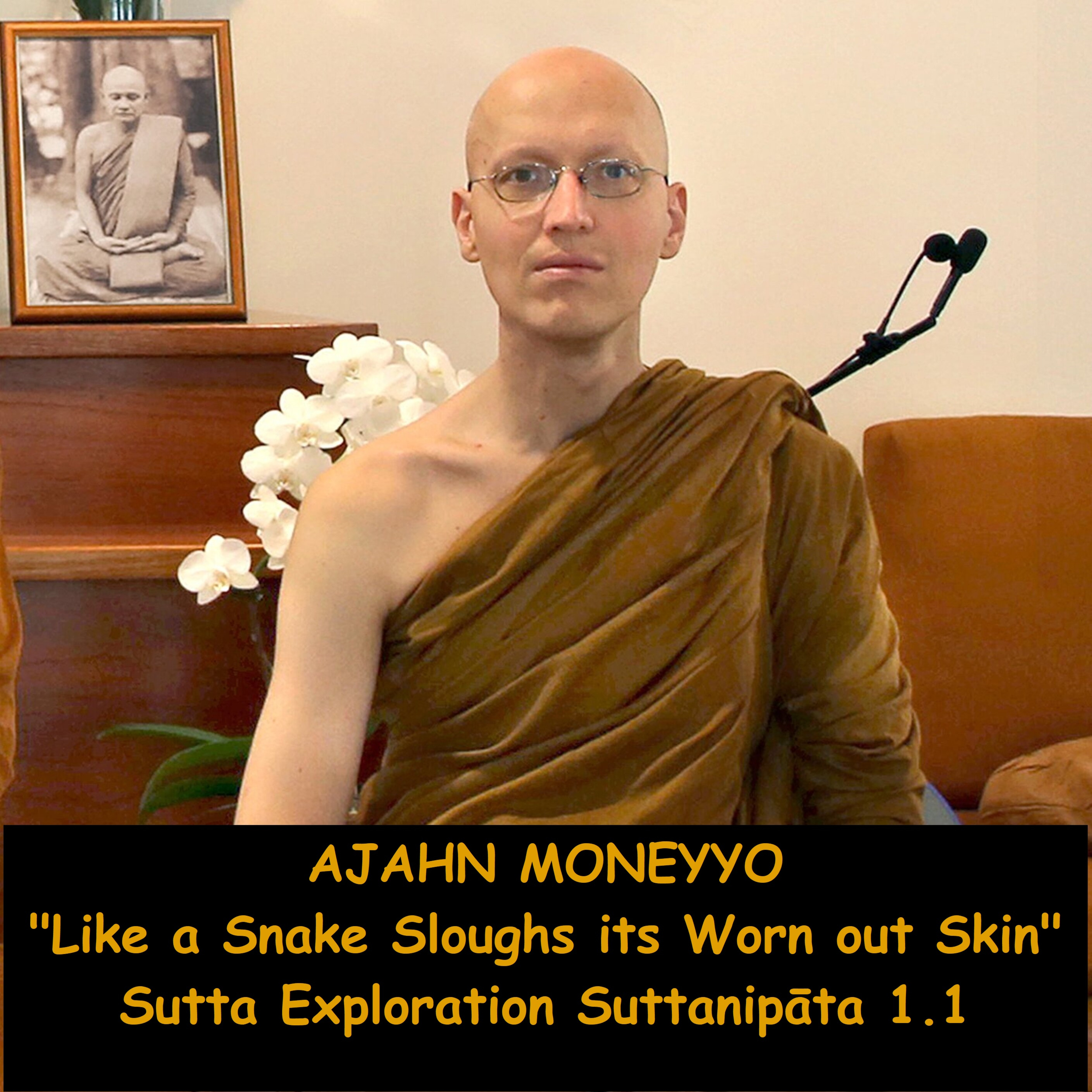 AJAHN MONEYYO | Abandon Defilements, Like a Snake Shed's it's Worn Out Skin | SUTTA EXPLORATION, Uraga Sutta, Suttanipāta 1.1