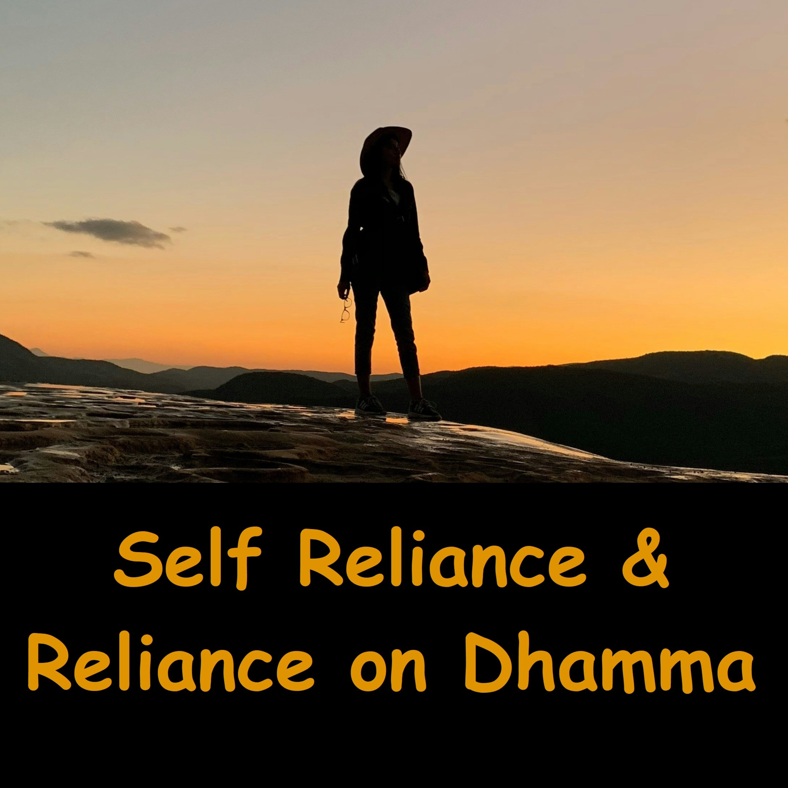 Yourself and Dhamma is Your Only Refuge | Attadipa Viharatha | Dhamma Talk | Ajahn Dhammasiha episode artwork