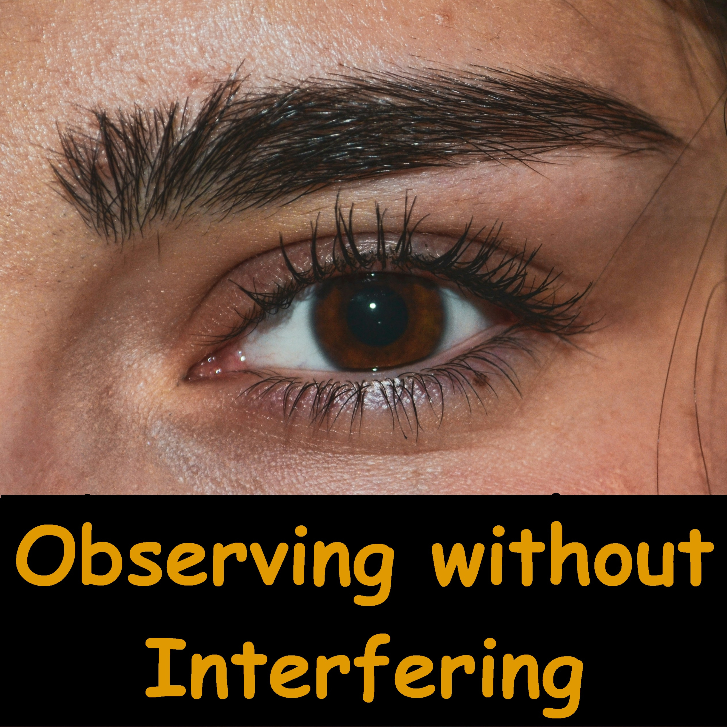 Vipassana: Observing Without Interfering | Ajahn Dhammasiha | Insight Mindfulness Sati episode artwork