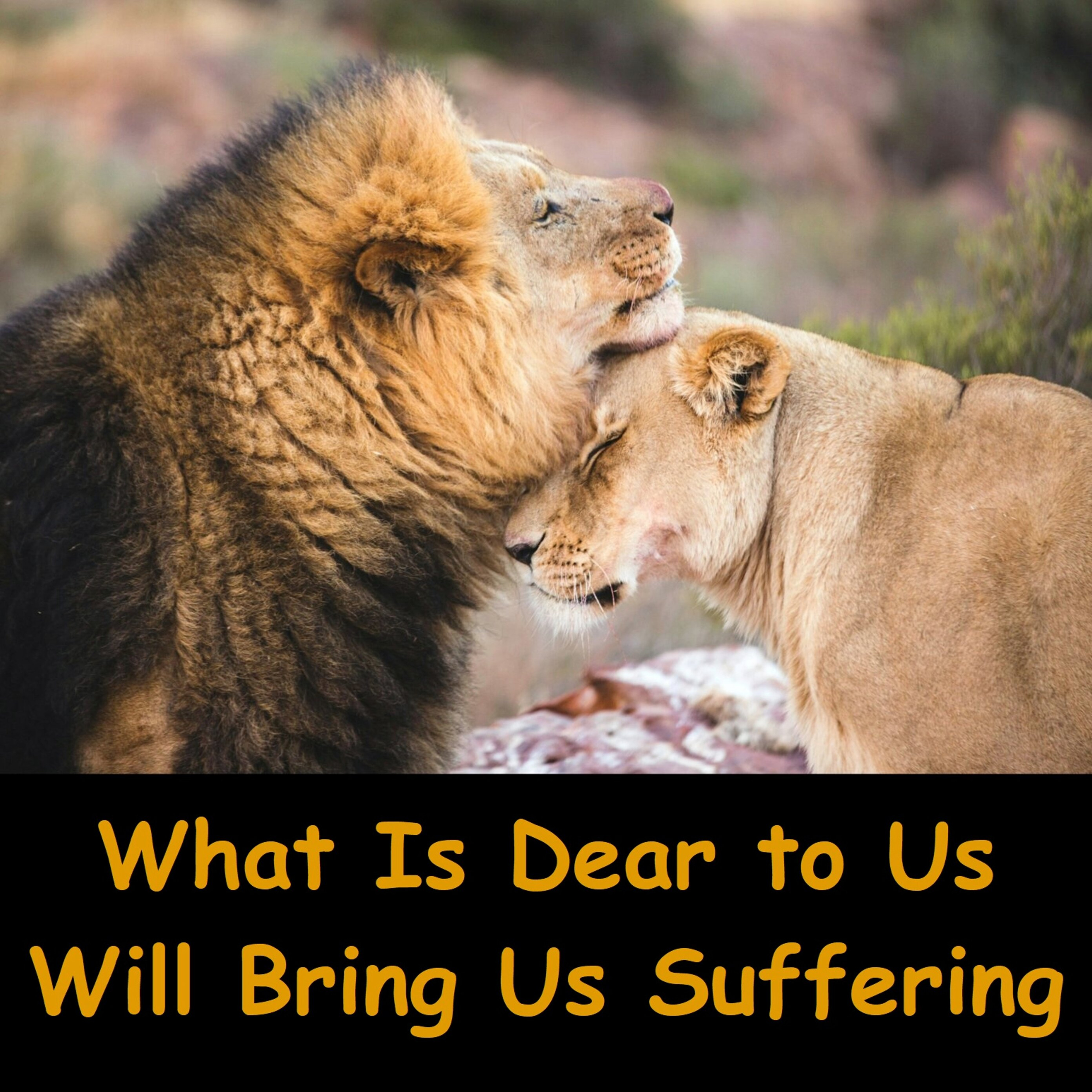 What is Dear to Us will Bring us Suffering | Attachment is the Cause of Our Pain | Ajahn Dhammasiha