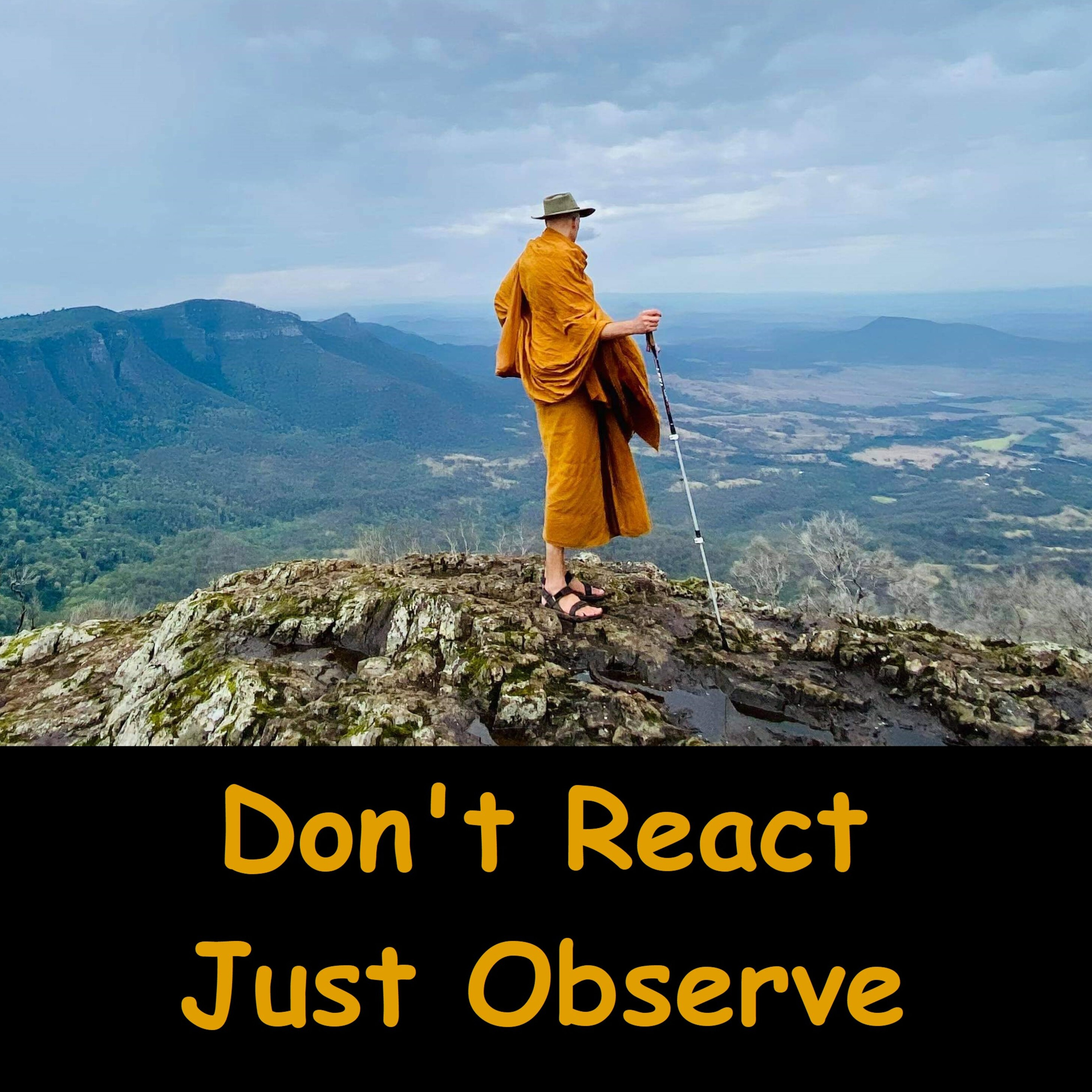 Knowing, Not Interfering | Insight through Awareness | Vipassana | Ajahn Dhammasiha