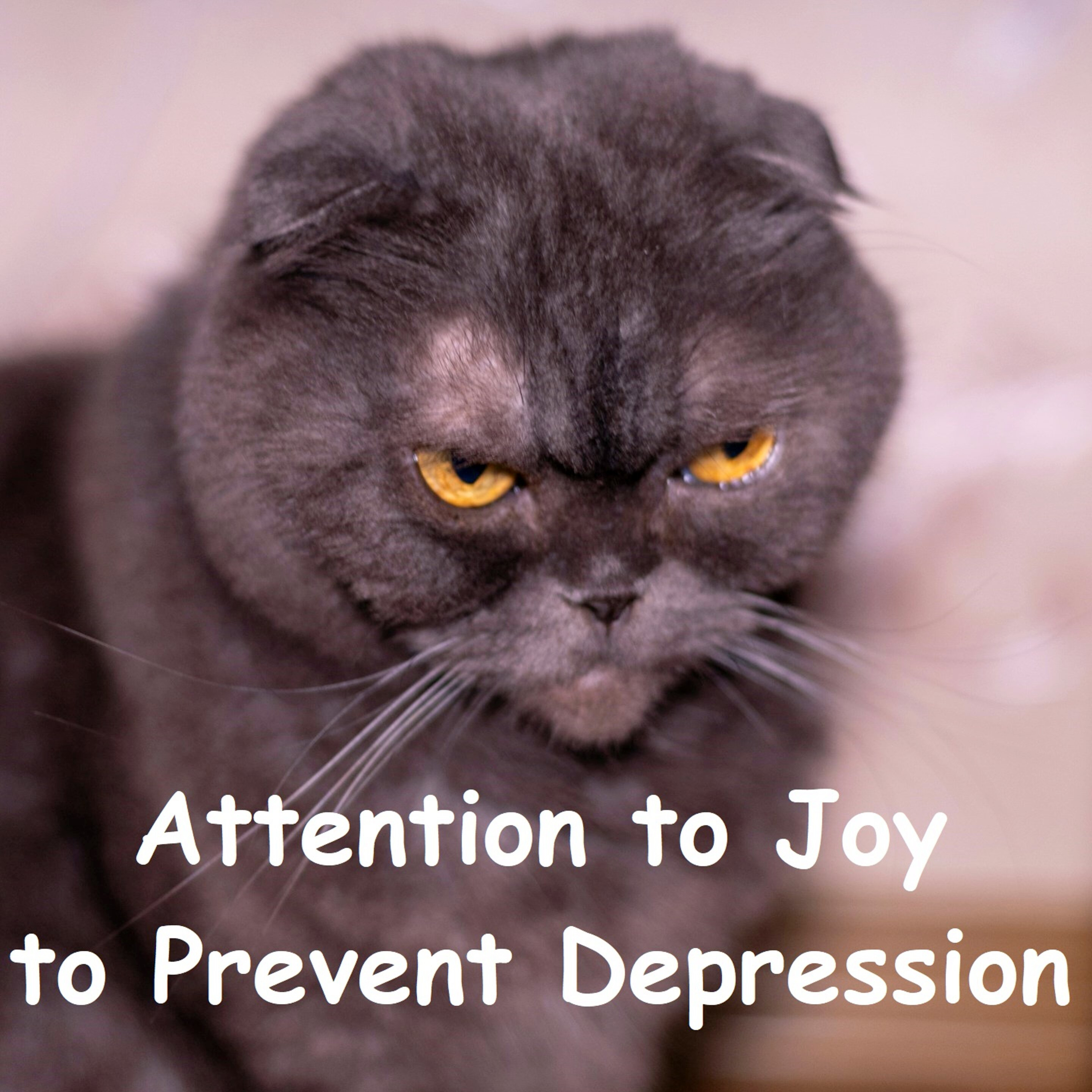 Retraining the Faultfinding Mind | Focus on Joyful Events to Counter Depression | Ajahn Dhammasiha