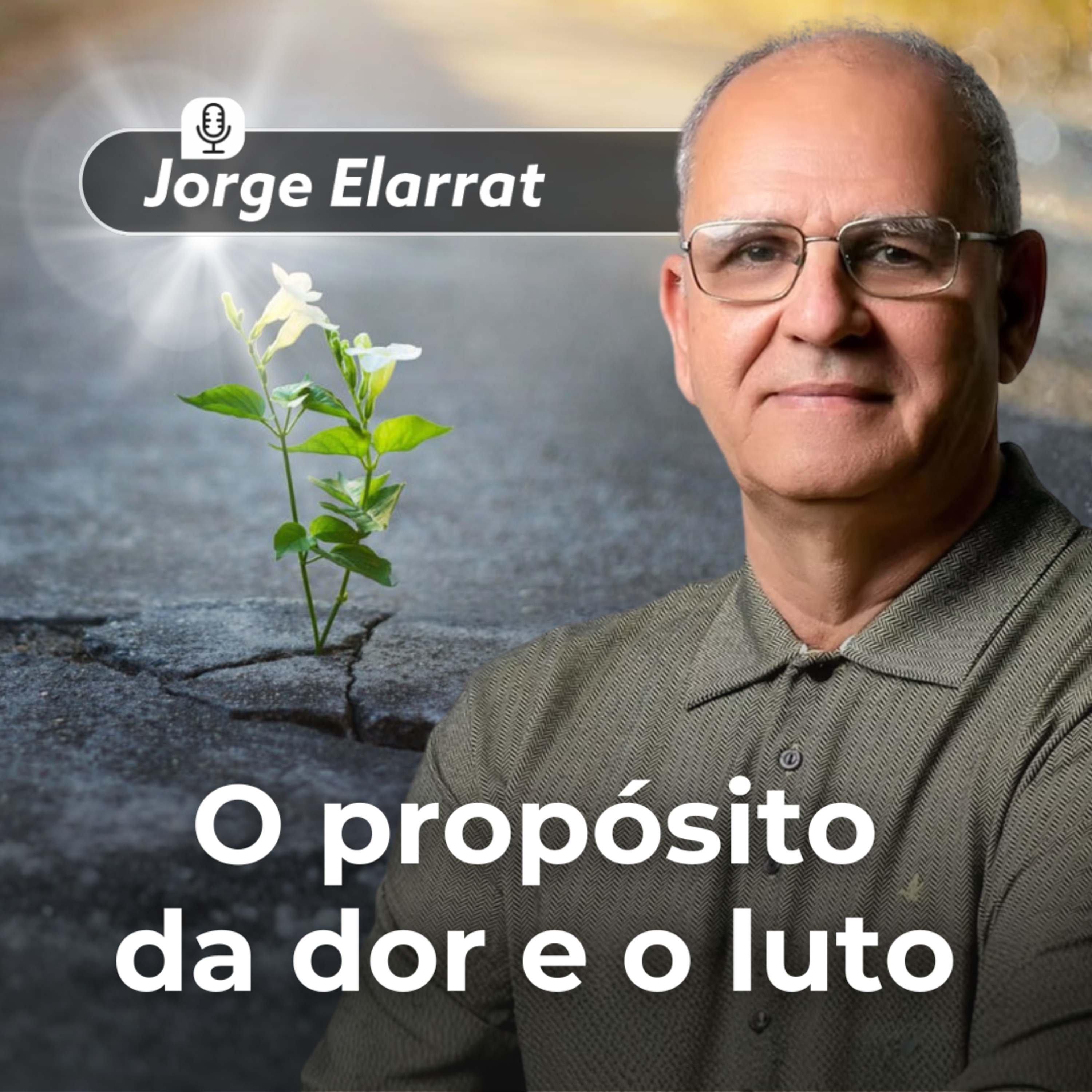 O propósito da dor e o luto episode artwork