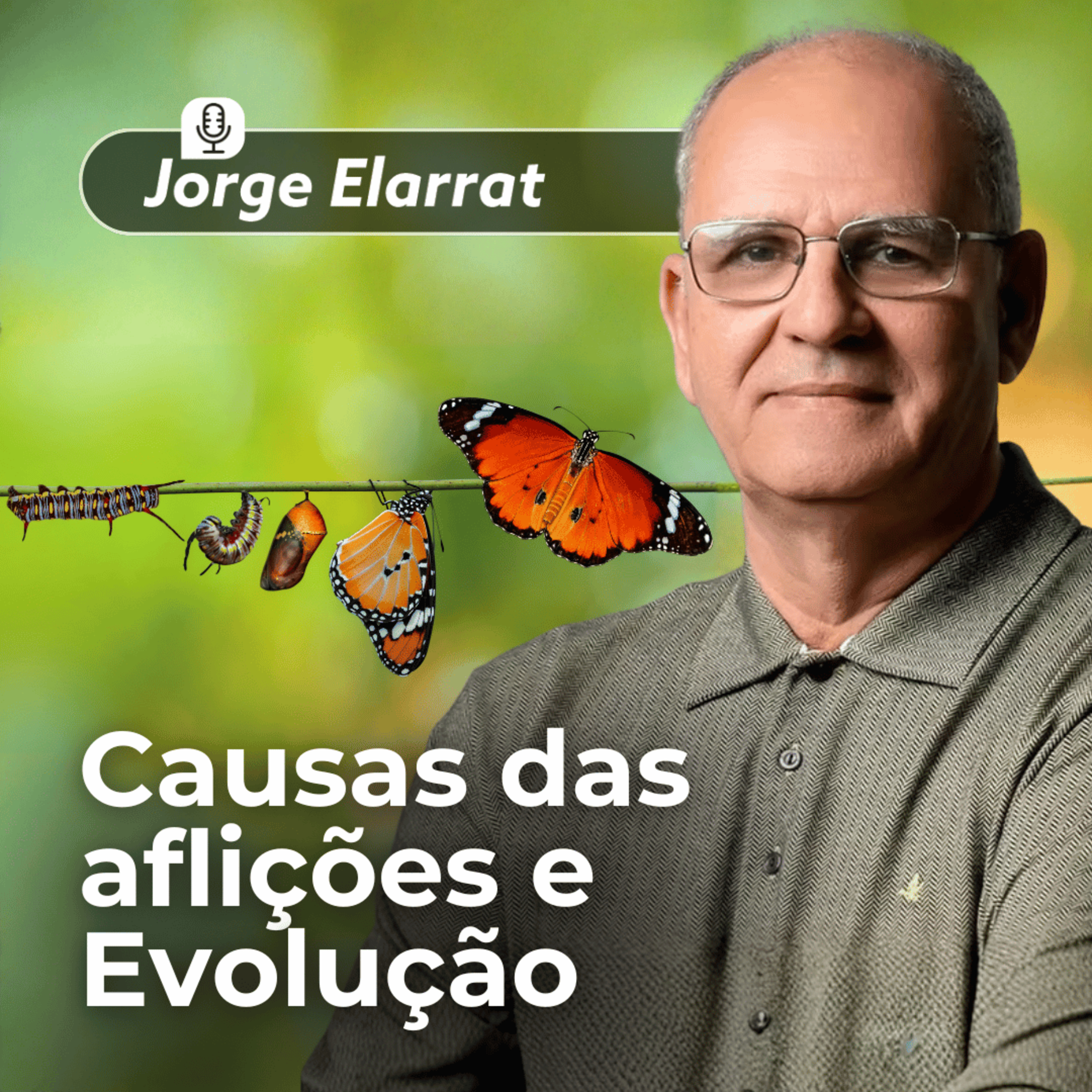  Causas das aflições e Evolução episode artwork