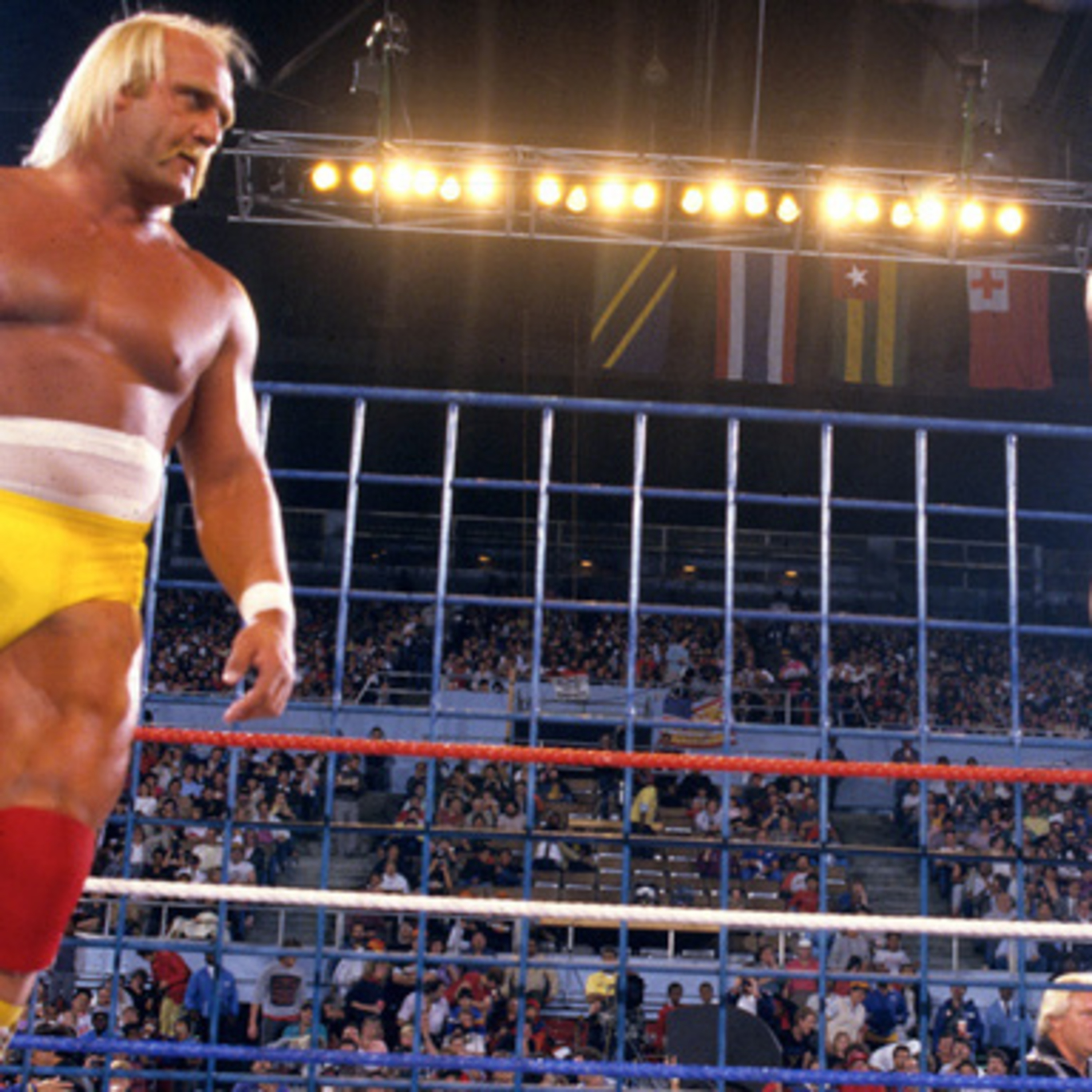 Episode 504: What's Your Favorite Moments in Pro Wrestling? episode artwork