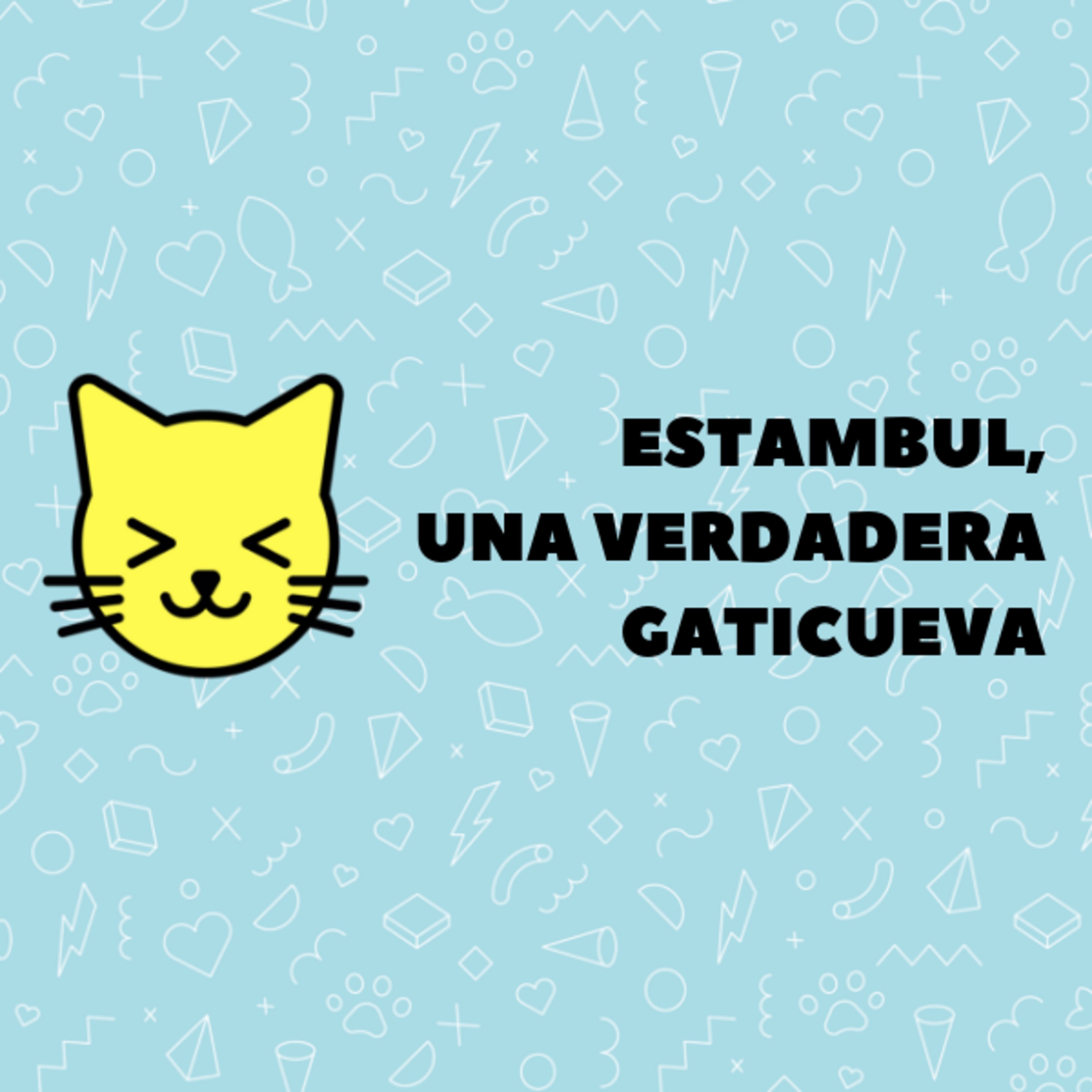 GATOCRACIA