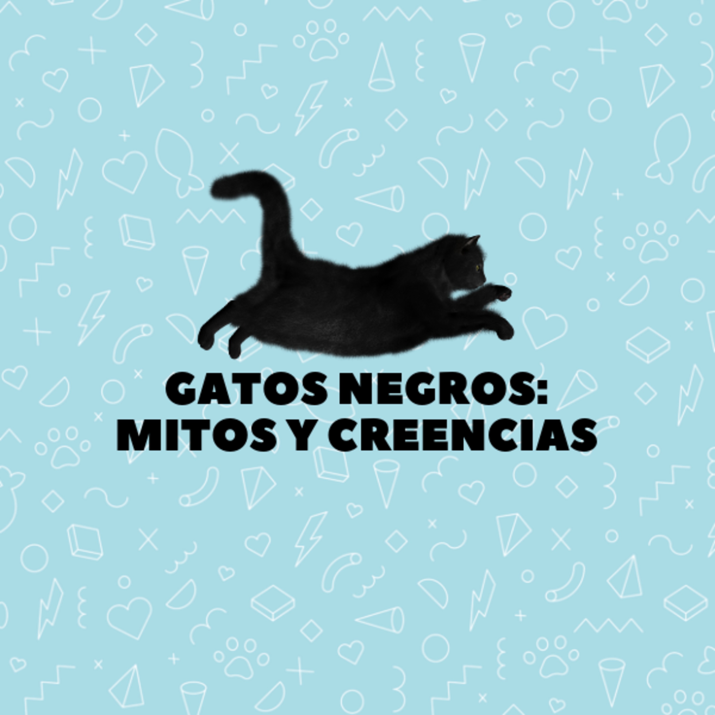 GATOCRACIA