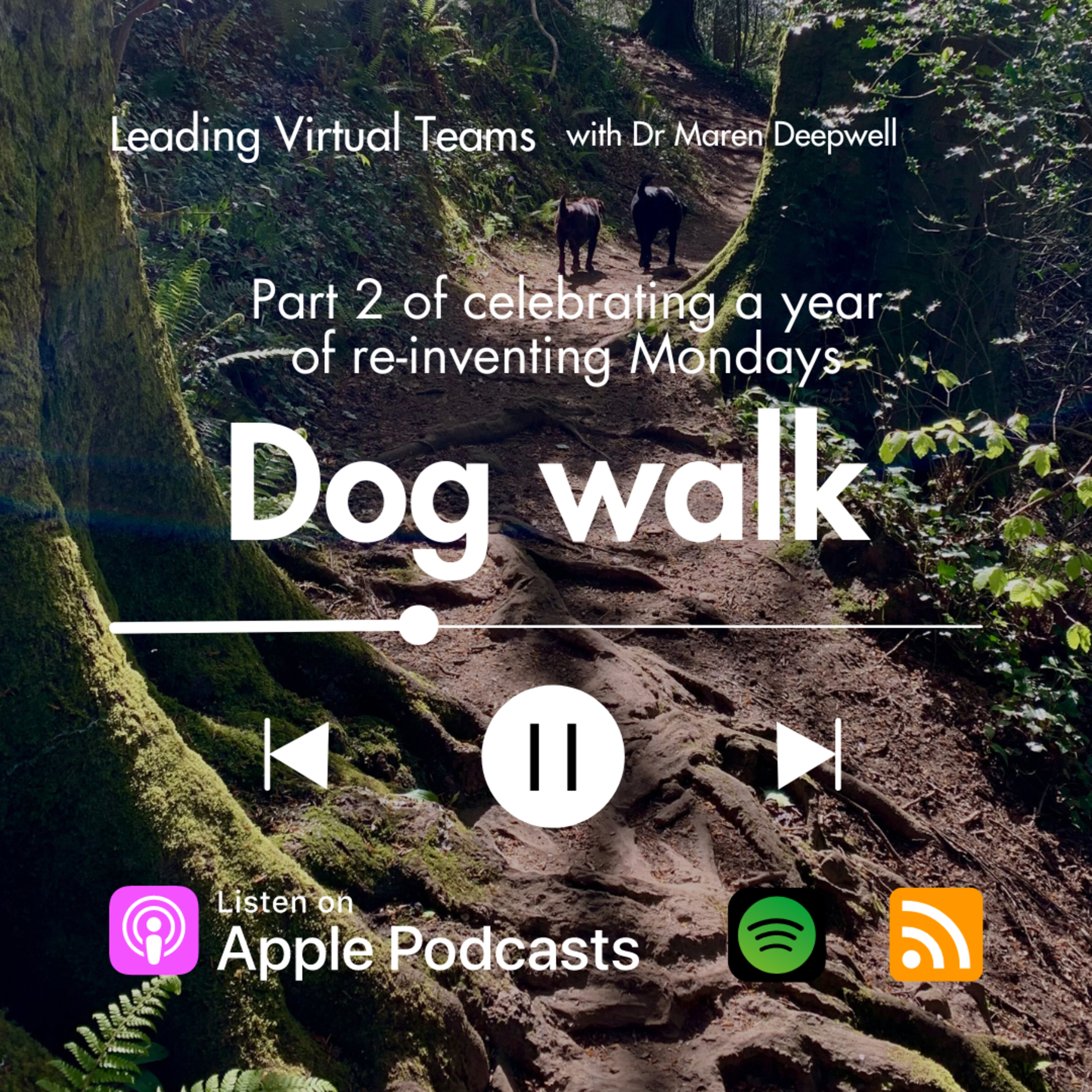 Leading Virtual Teams with Dr Maren Deepwell