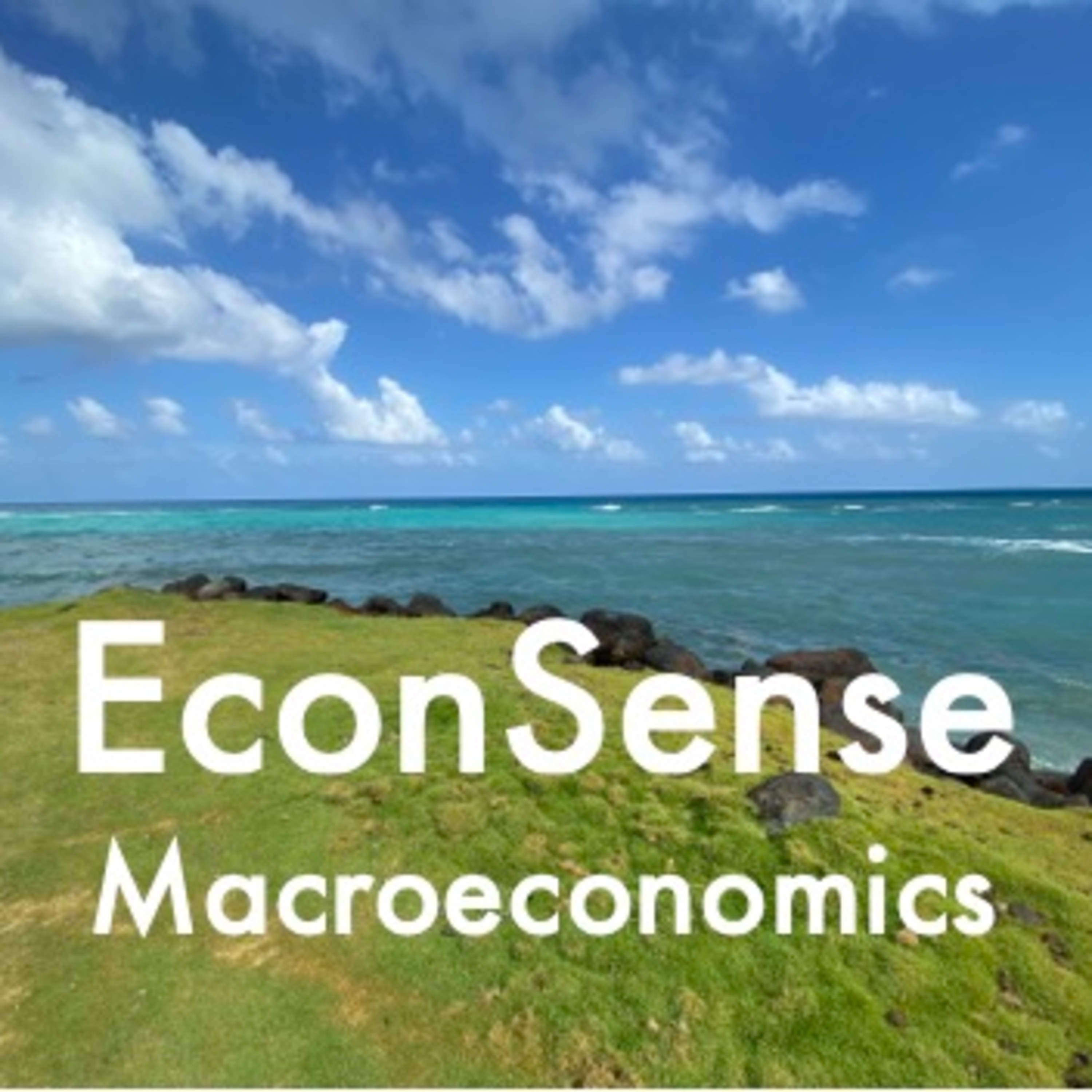 Macroeconomics S01E04- Unemployment