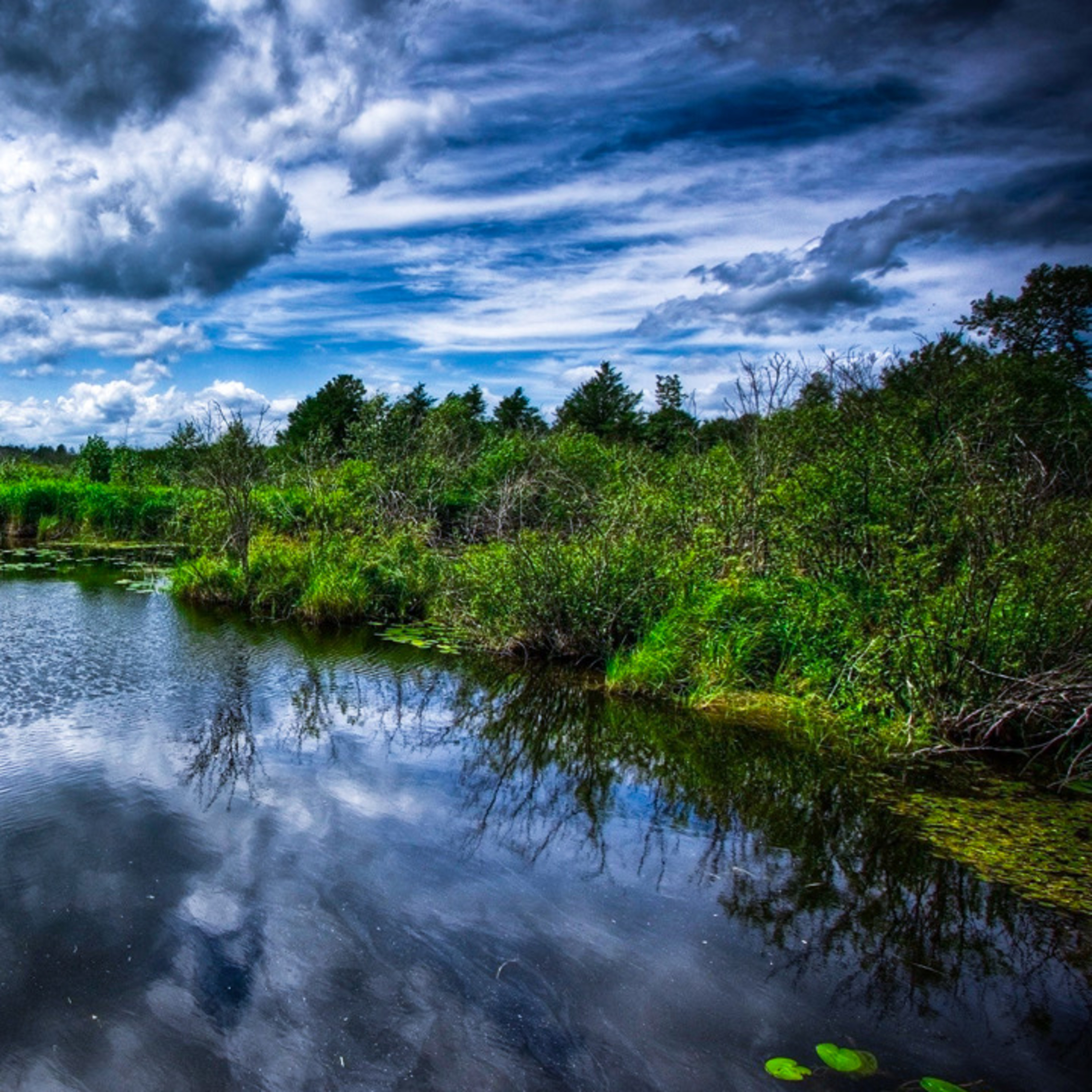 Tranquilos De La Naturaleza