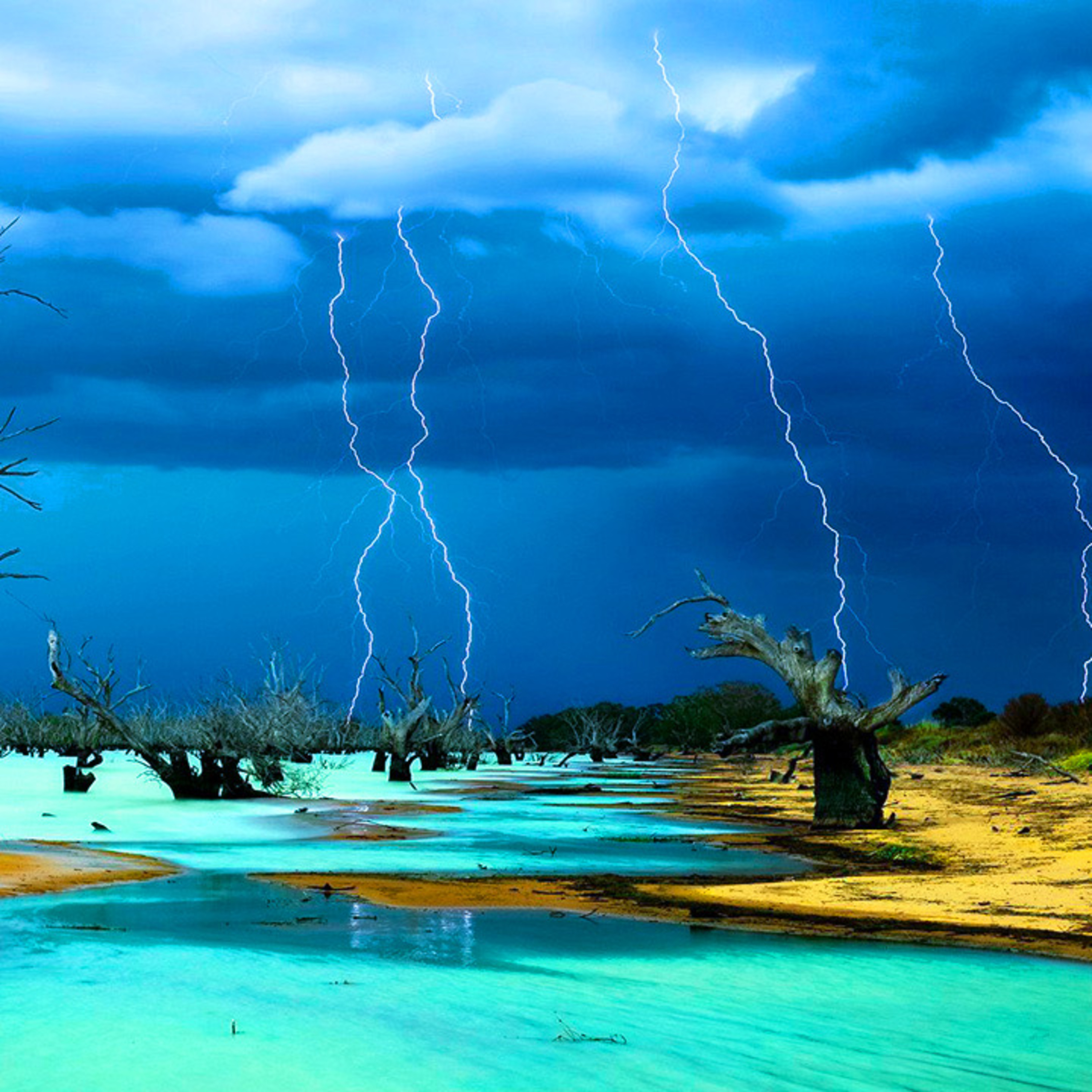 Tranquilos De La Naturaleza