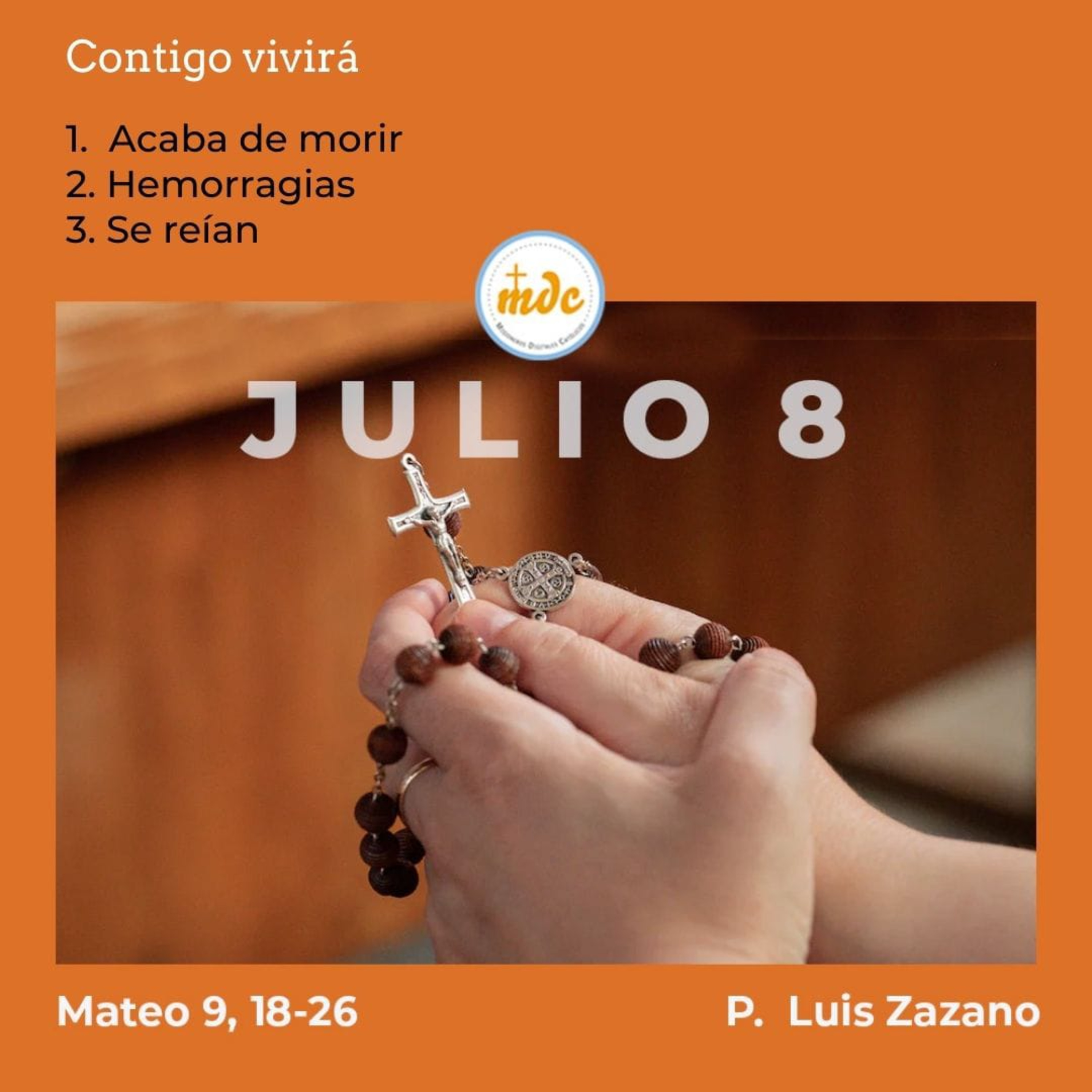 Reflexión diaria del Evangelio por el P. Luis Zazano