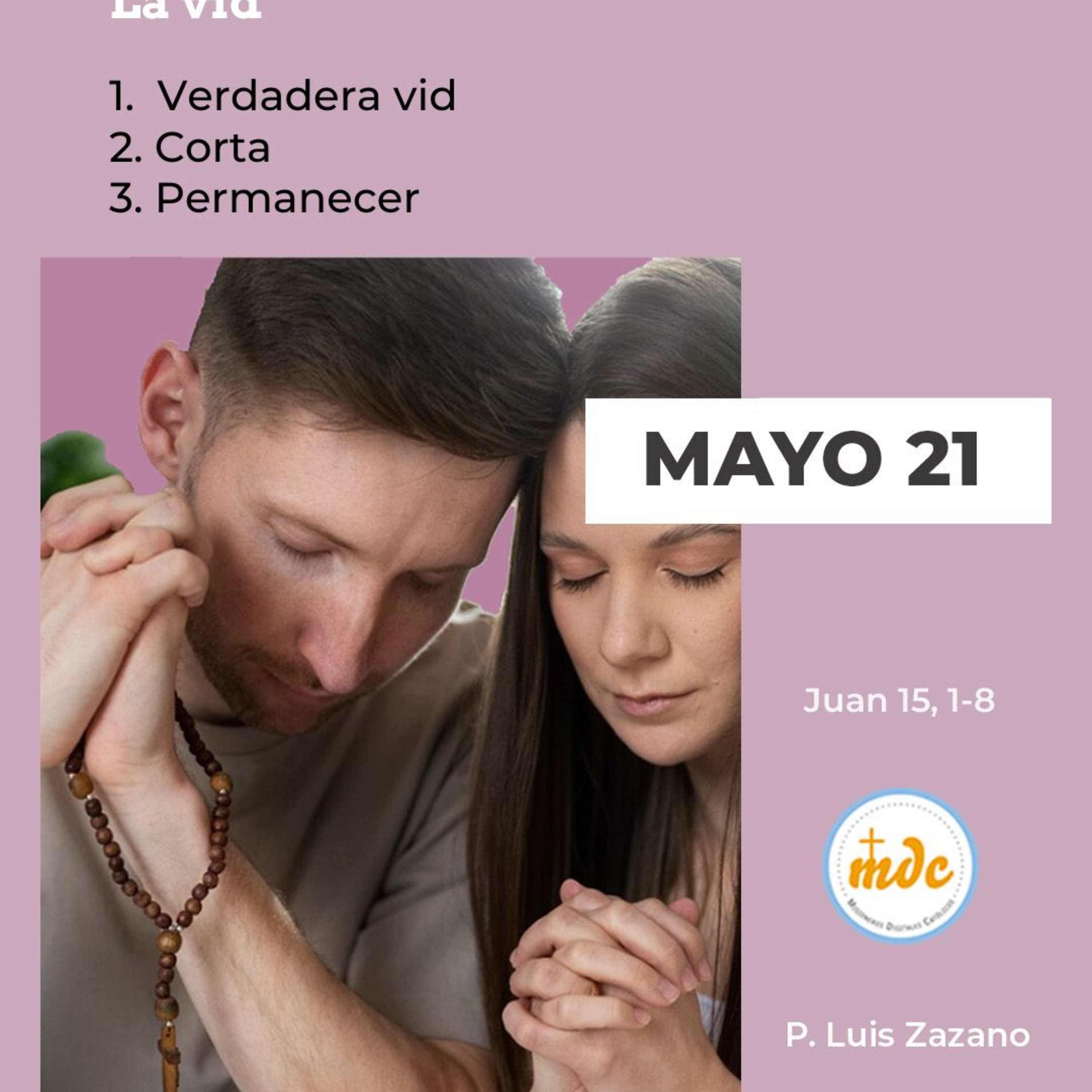 Reflexión diaria del Evangelio por el P. Luis Zazano