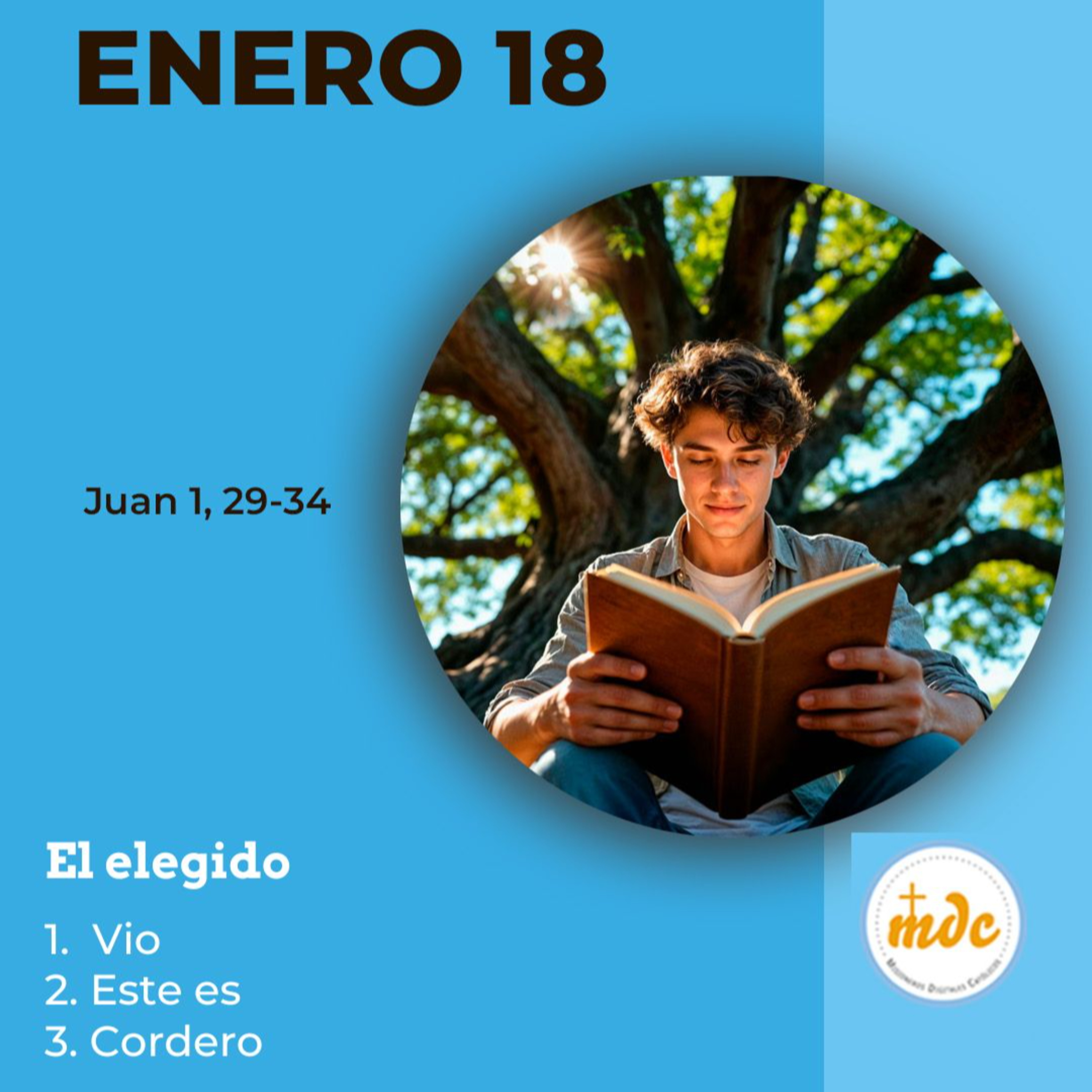 Juan 1, 29-34: El elegido 