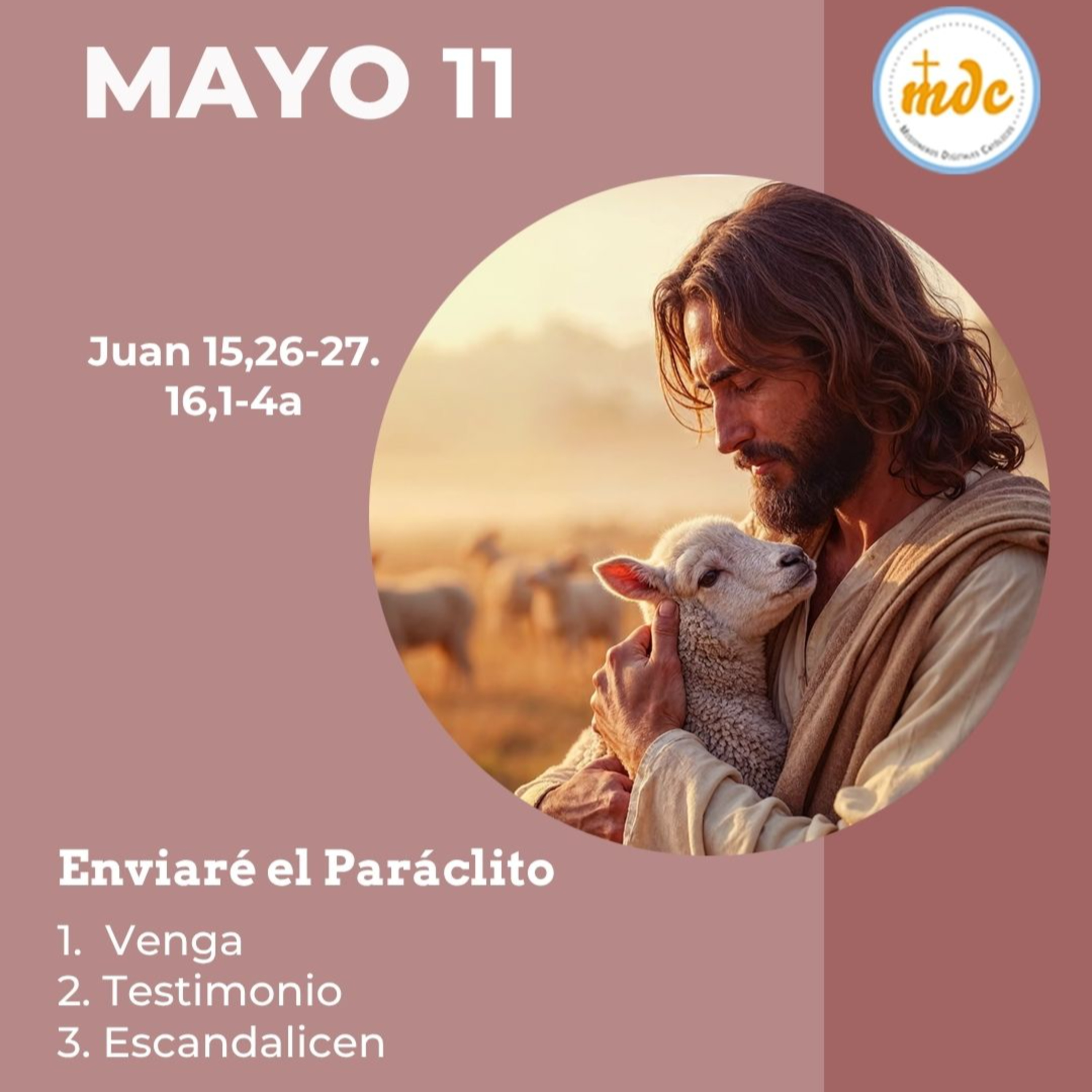 Juan 15, 26-27. 16, 1-4a.: Enviaré el Paráclito 