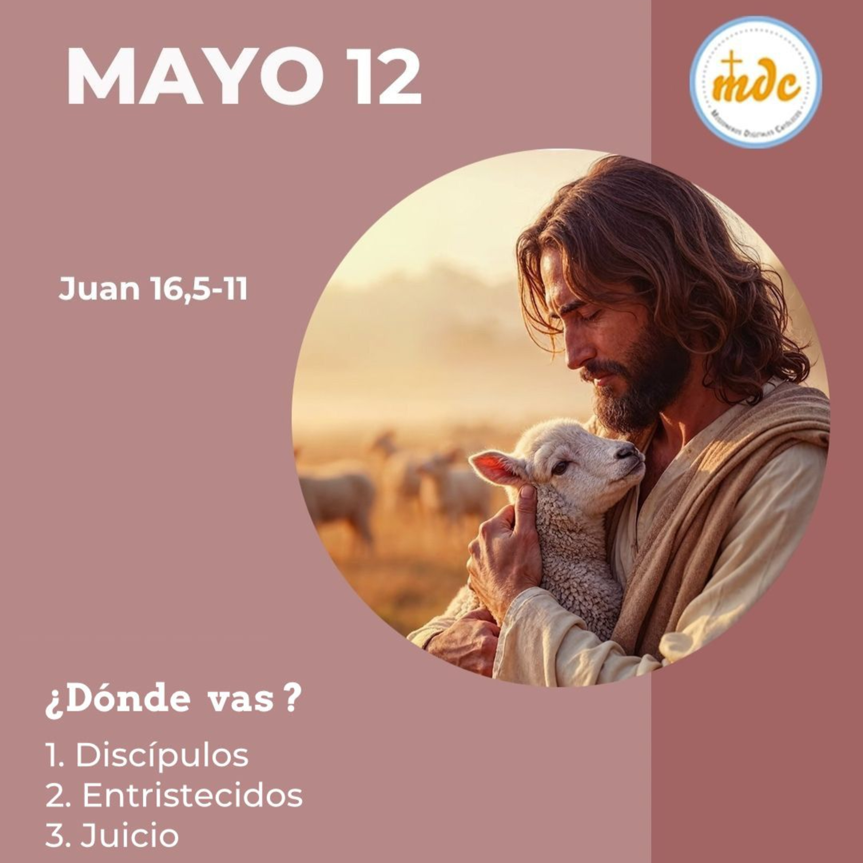 Juan 16, 5-11: ¿Dónde vas?