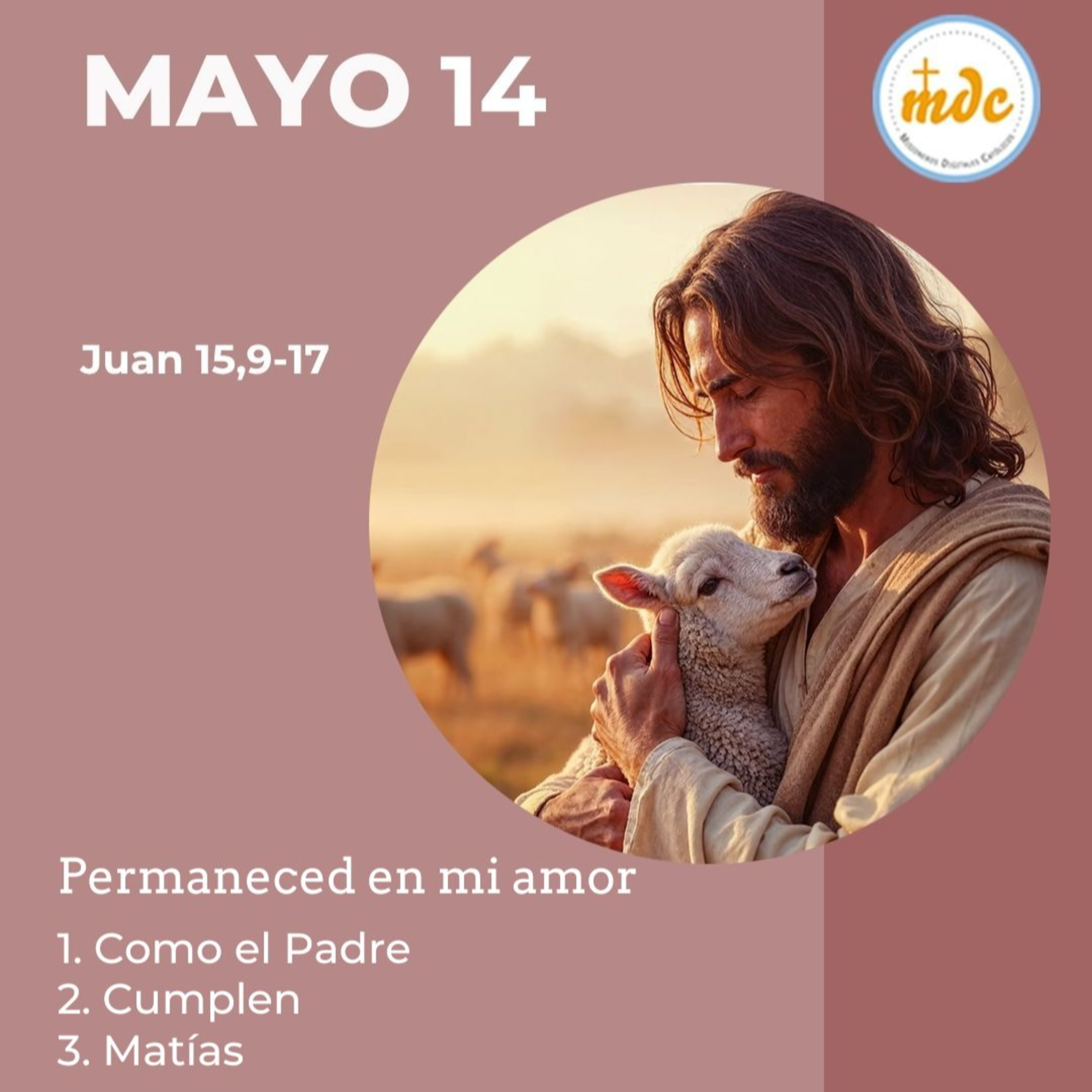 Juan 15, 9-17: Permaneced en mi amor
