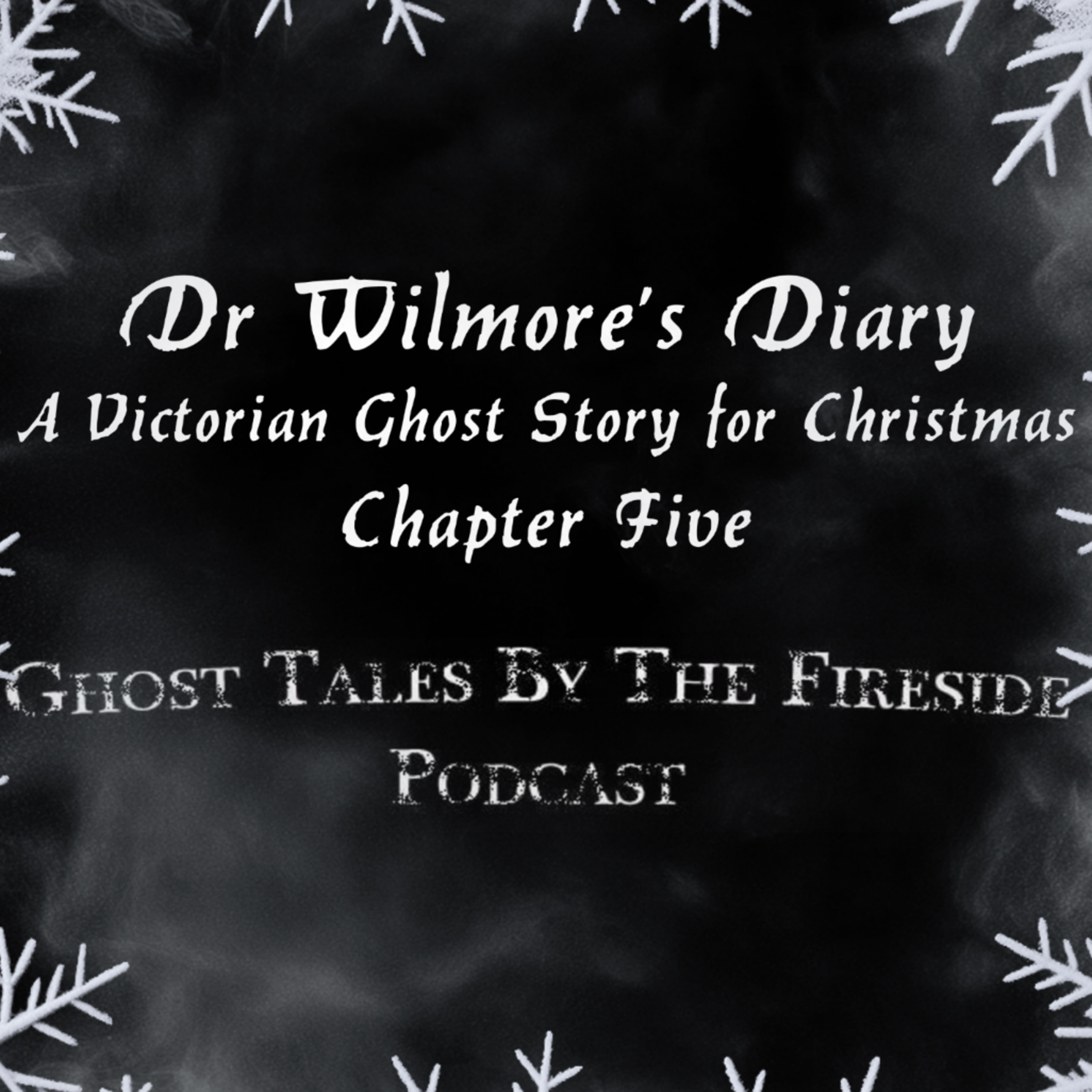 Dr Wilmore's Diary - Chapter Five