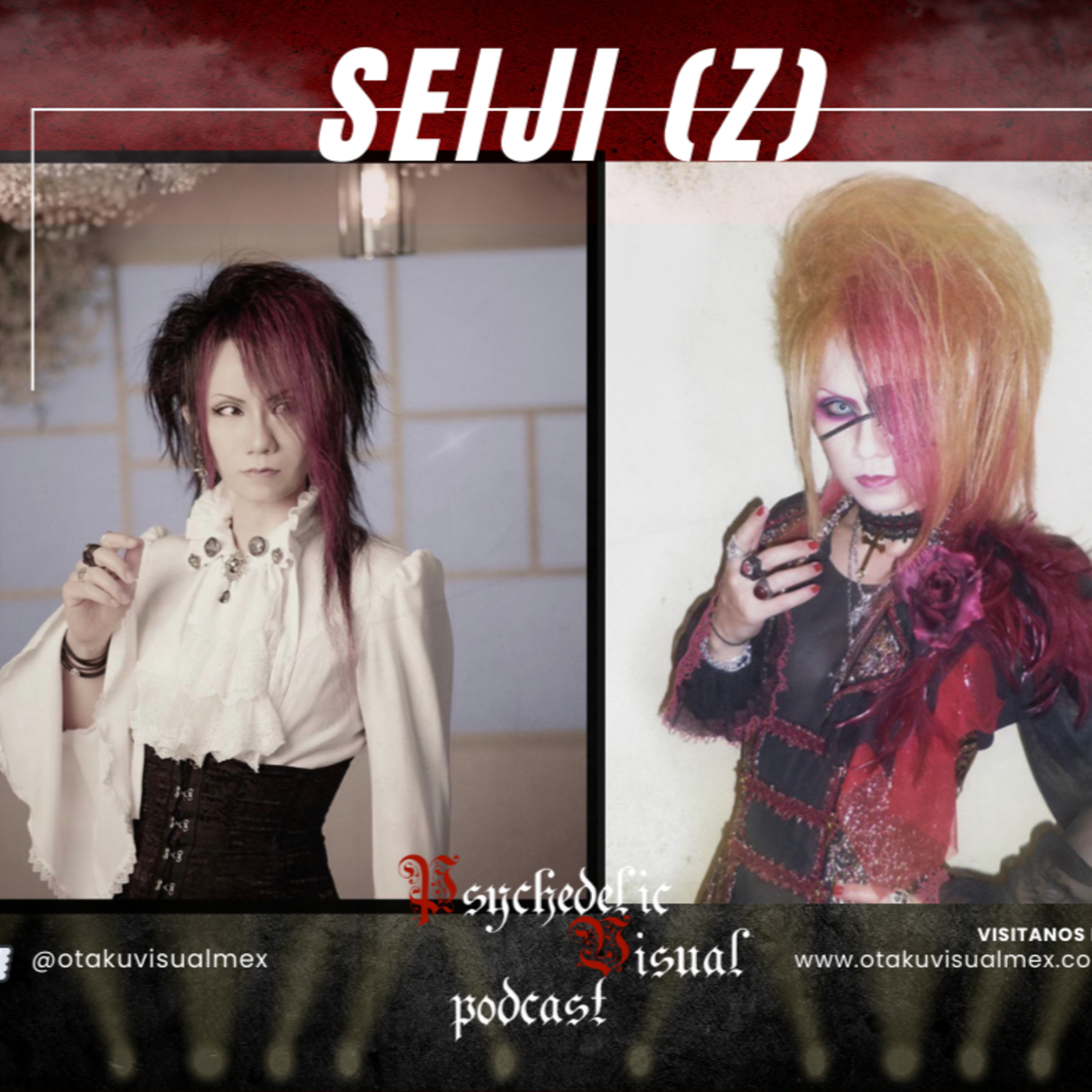 Especial Seiji (Z) - T3E14 - Psychedelic Visual Podcast episode artwork