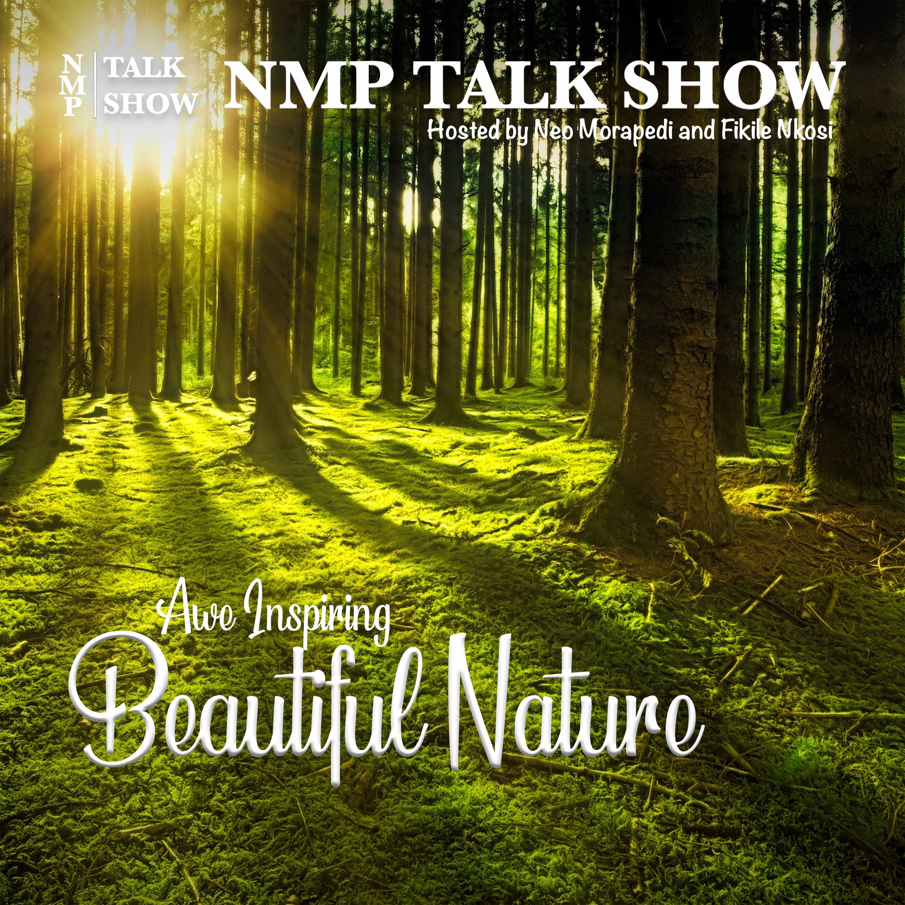 NMP TALK SHOW