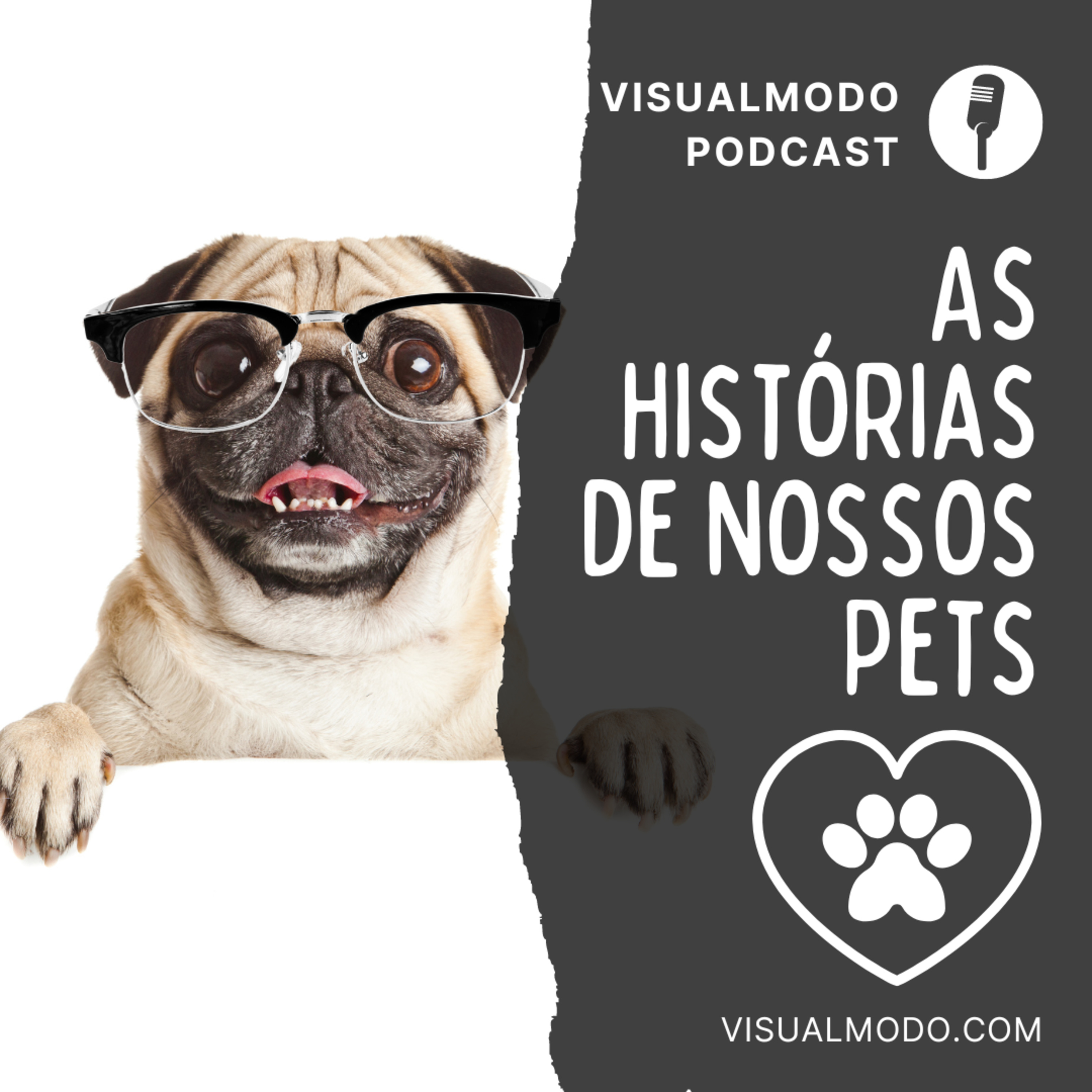 Visualmodo Podcast