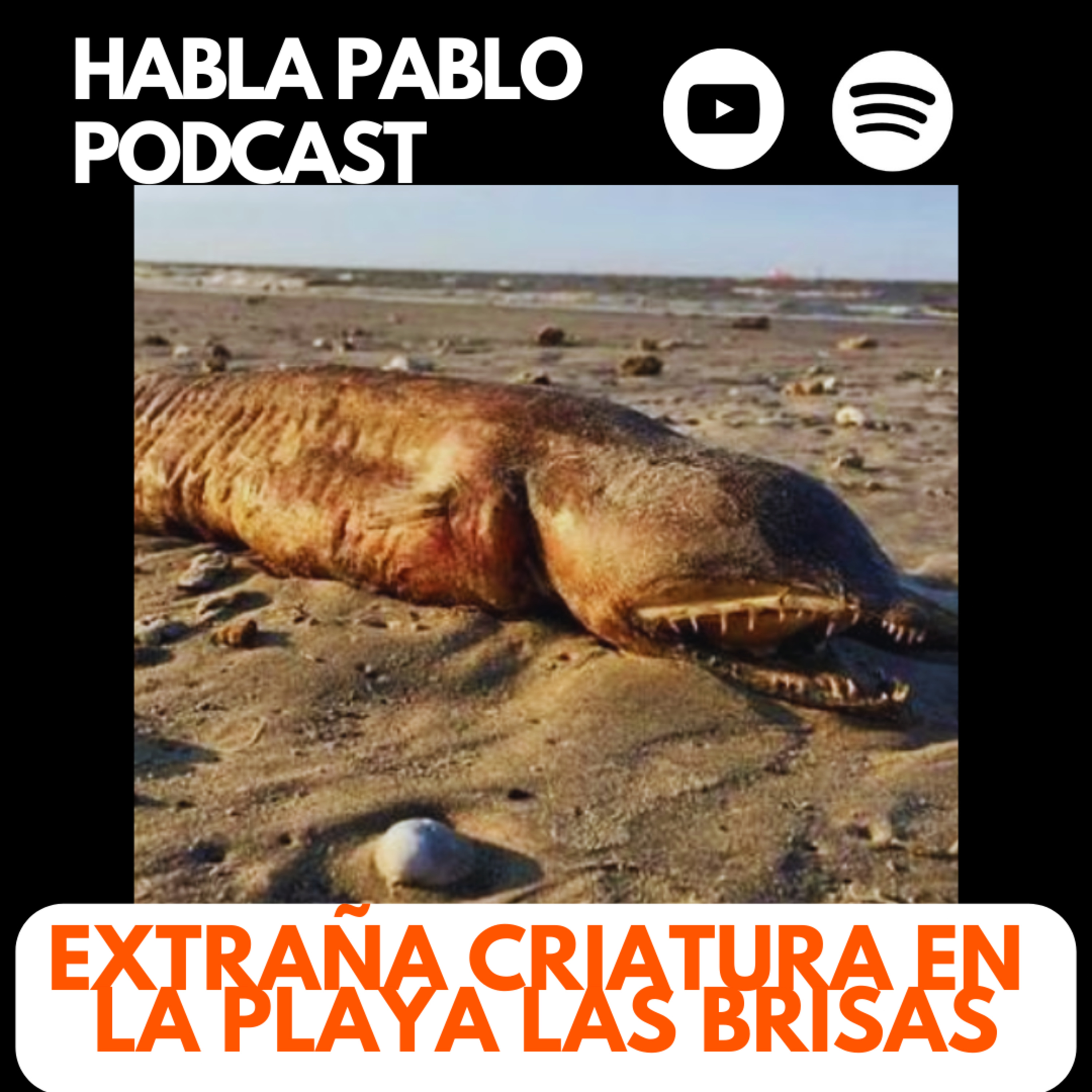 Habla Pablo Podcast