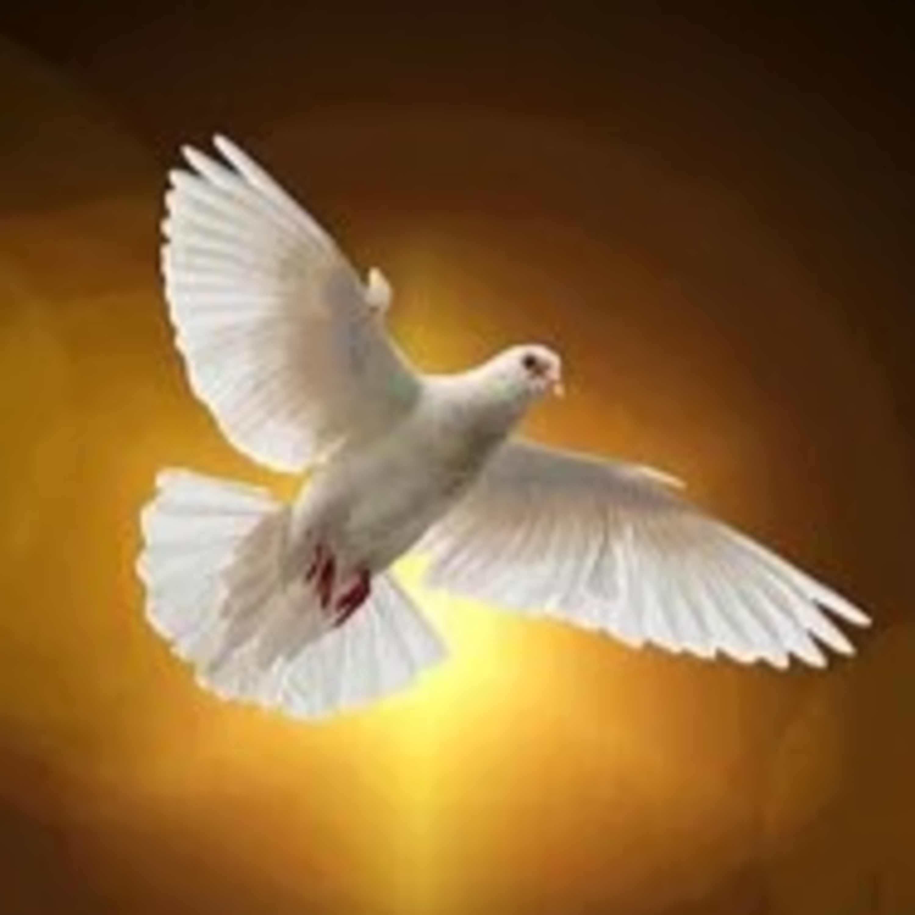 8º dia da Novena ao Espirito Santo - O Dom do Amor episode artwork