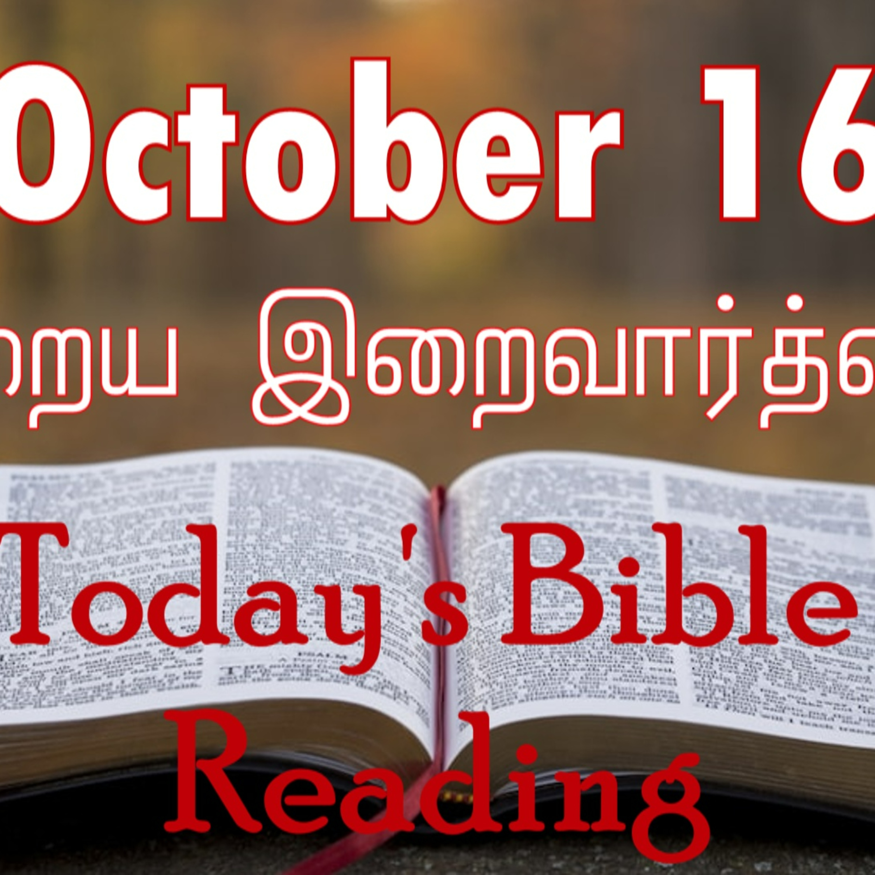 16 October 2023 Holy Mass Readings Tamil | Catholic | Daily Bible Reading Tamil | Mass readings today  episode artwork