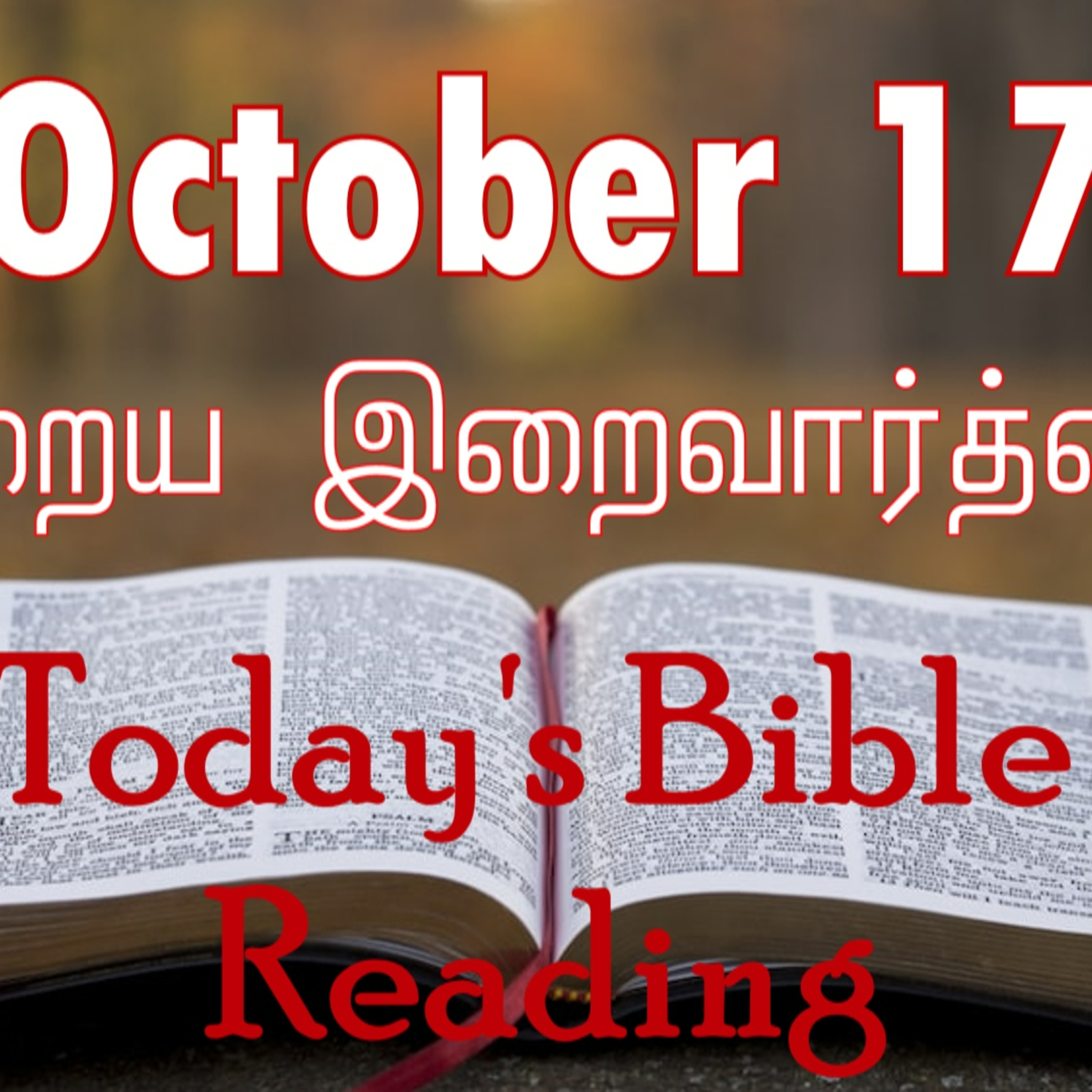 17 October 2023 Holy Mass Readings Tamil | Catholic | Daily Bible Reading Tamil | Mass readings today | Today's Mass Readings Tamil episode artwork