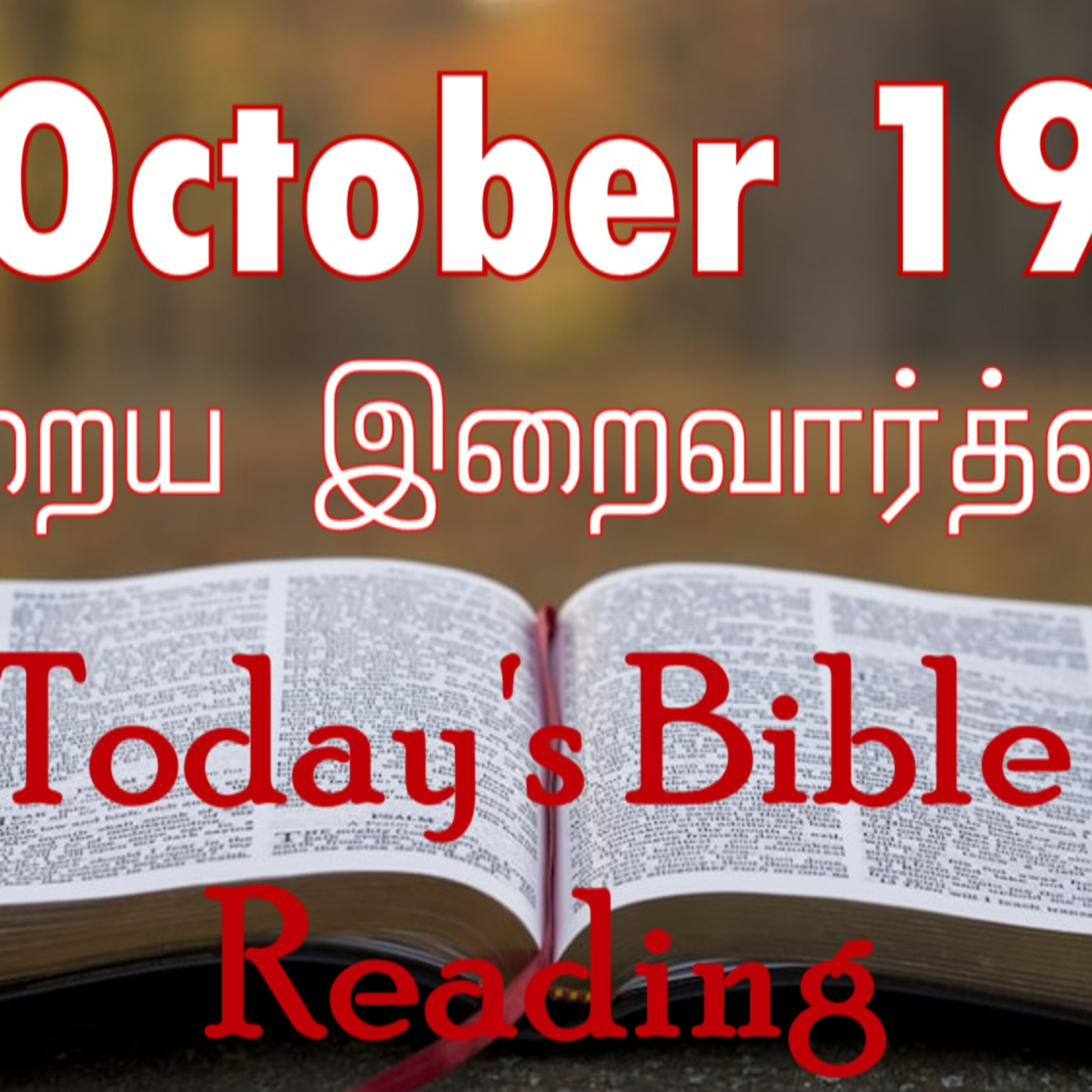 19 October 2023 Holy Mass Readings Tamil | Catholic | Daily Bible Reading Tamil | Mass readings today | Today's Mass Readings Tamil