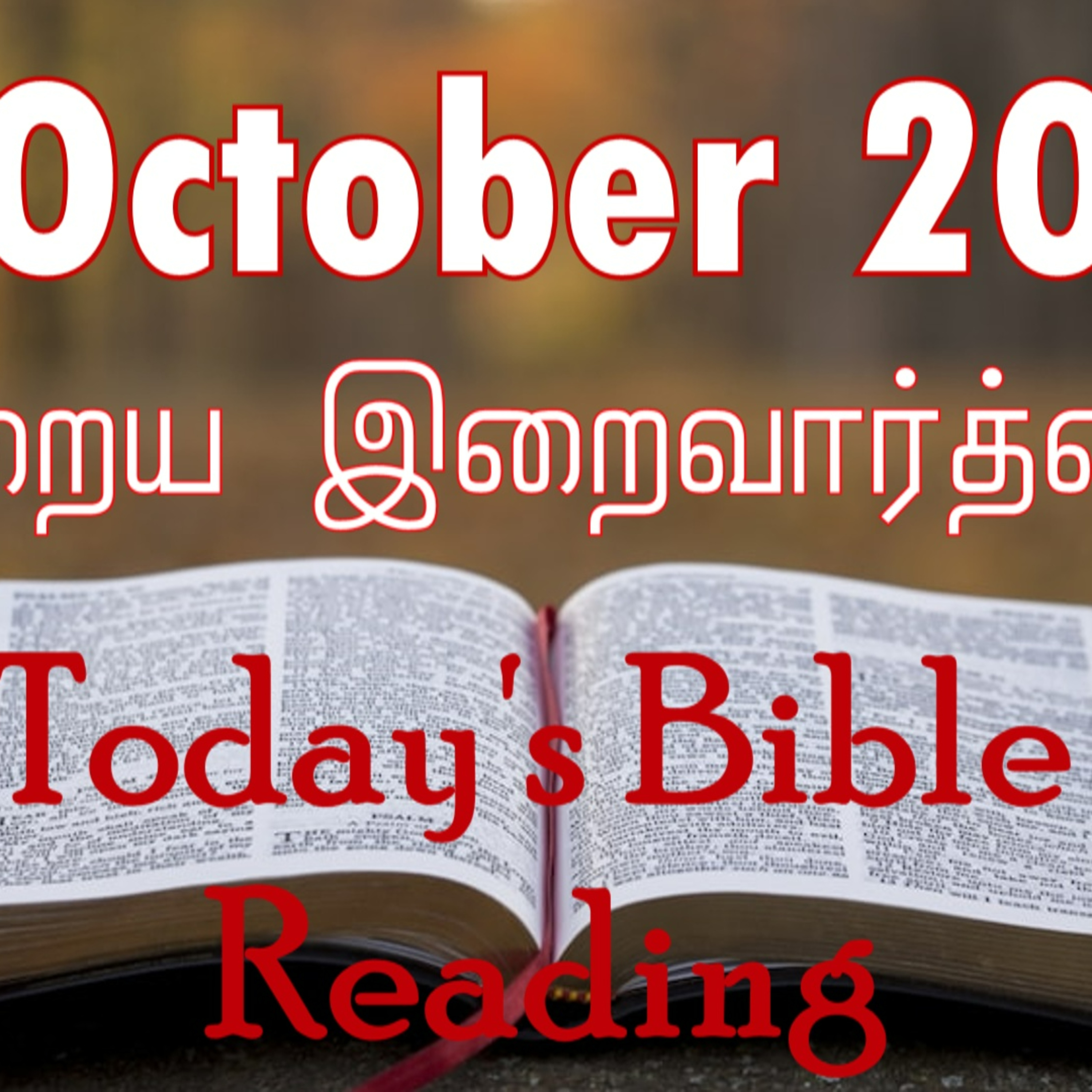 20 October 2023 Holy Mass Readings Tamil | Catholic | Daily Bible Reading Tamil | Mass readings today | Today's Mass Reading episode artwork